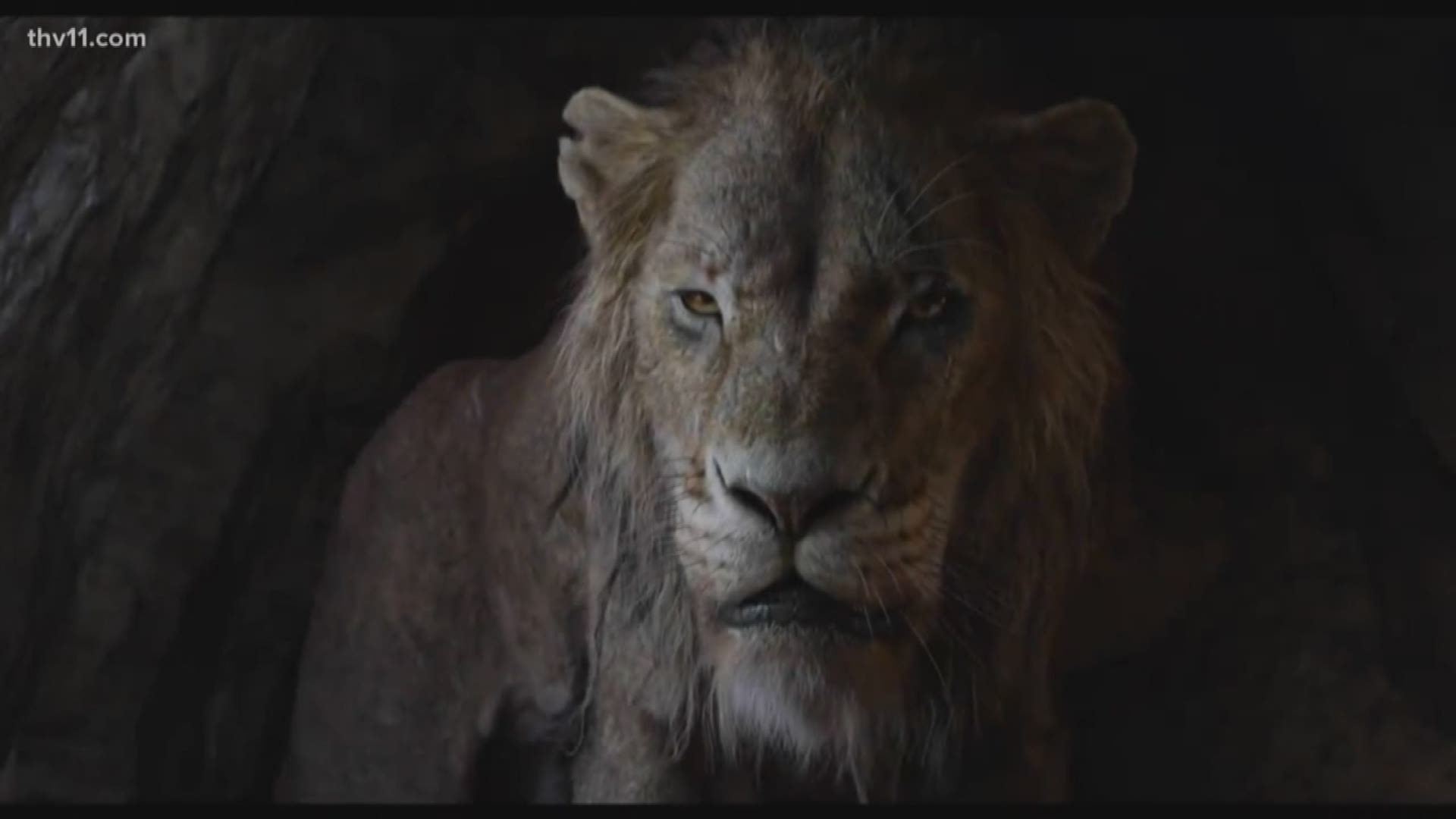 JD Roberts' with Getting Reel shared his take on Disney's live-action version of The Lion King.