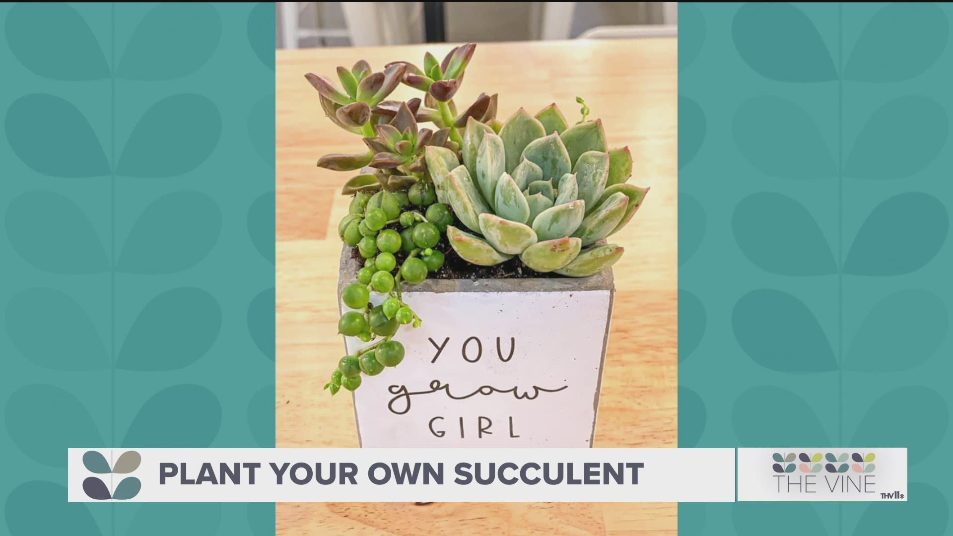 plan-your-next-date-night-or-party-at-grow-girl-succulents-thv11-com