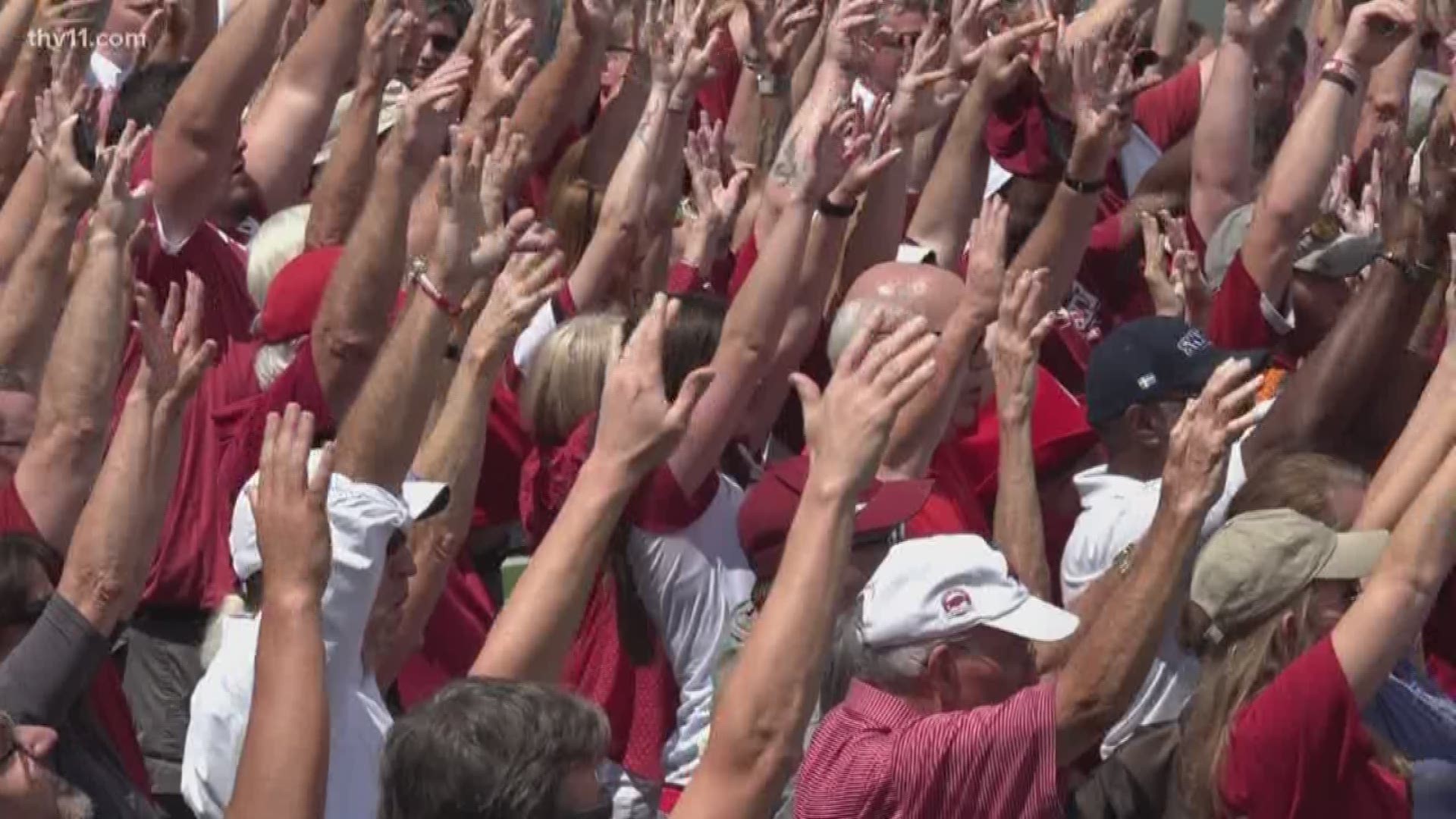 Your Arkansas Razorbacks are back in action tomorrow and today, they're being called from all across the world at once.