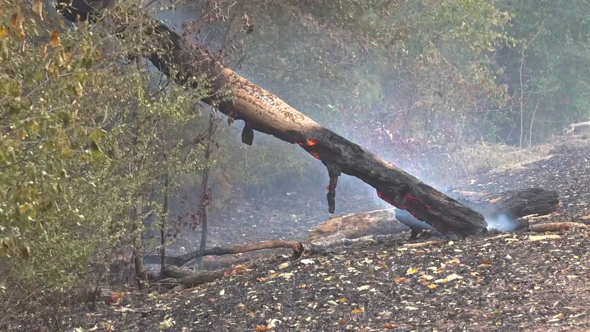 Operational Policy Examples ARDOT suspends at-risk mowing operations over wildfire threat | thv11.com
