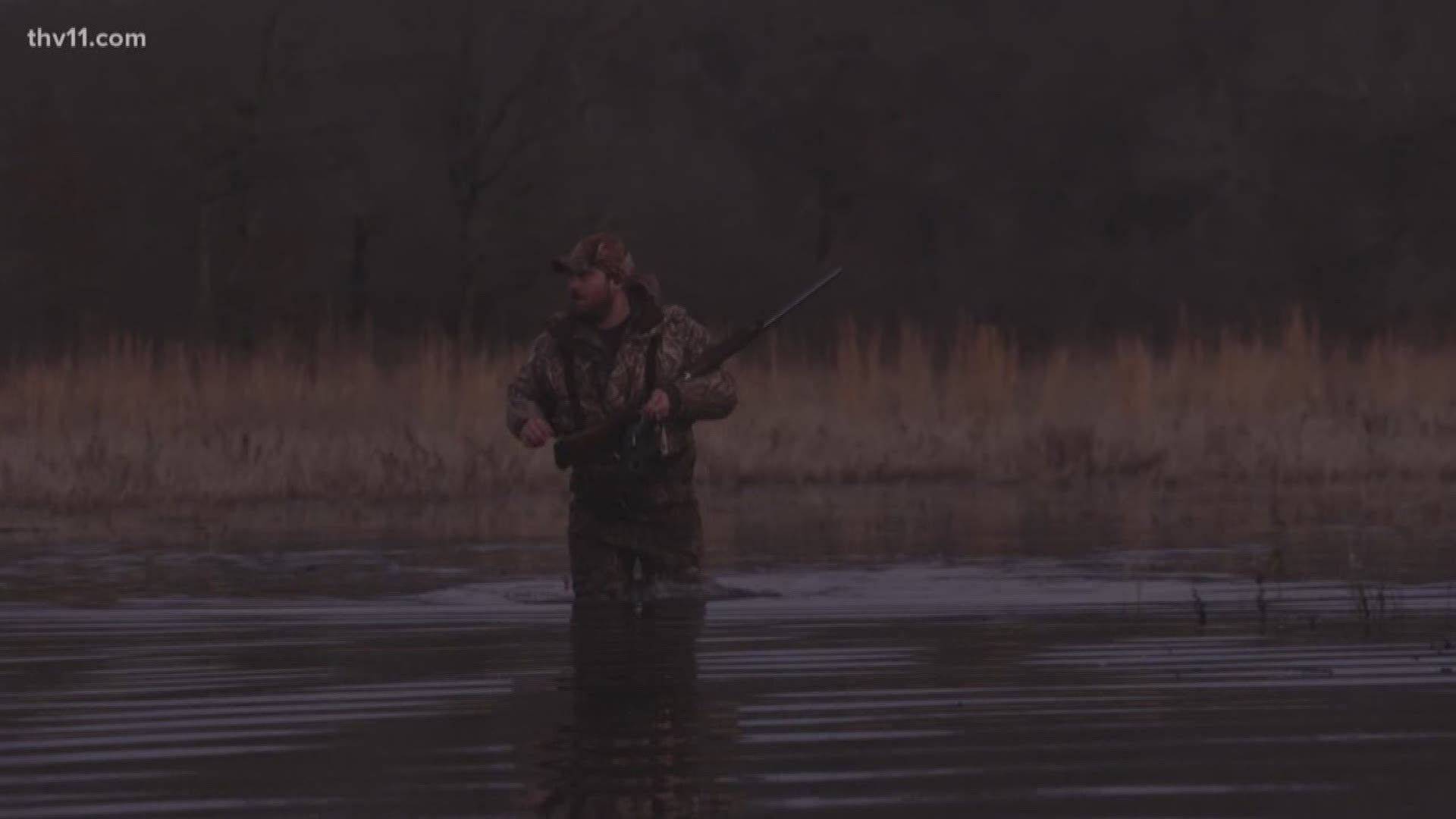 January weather could turn around disappointing duck season