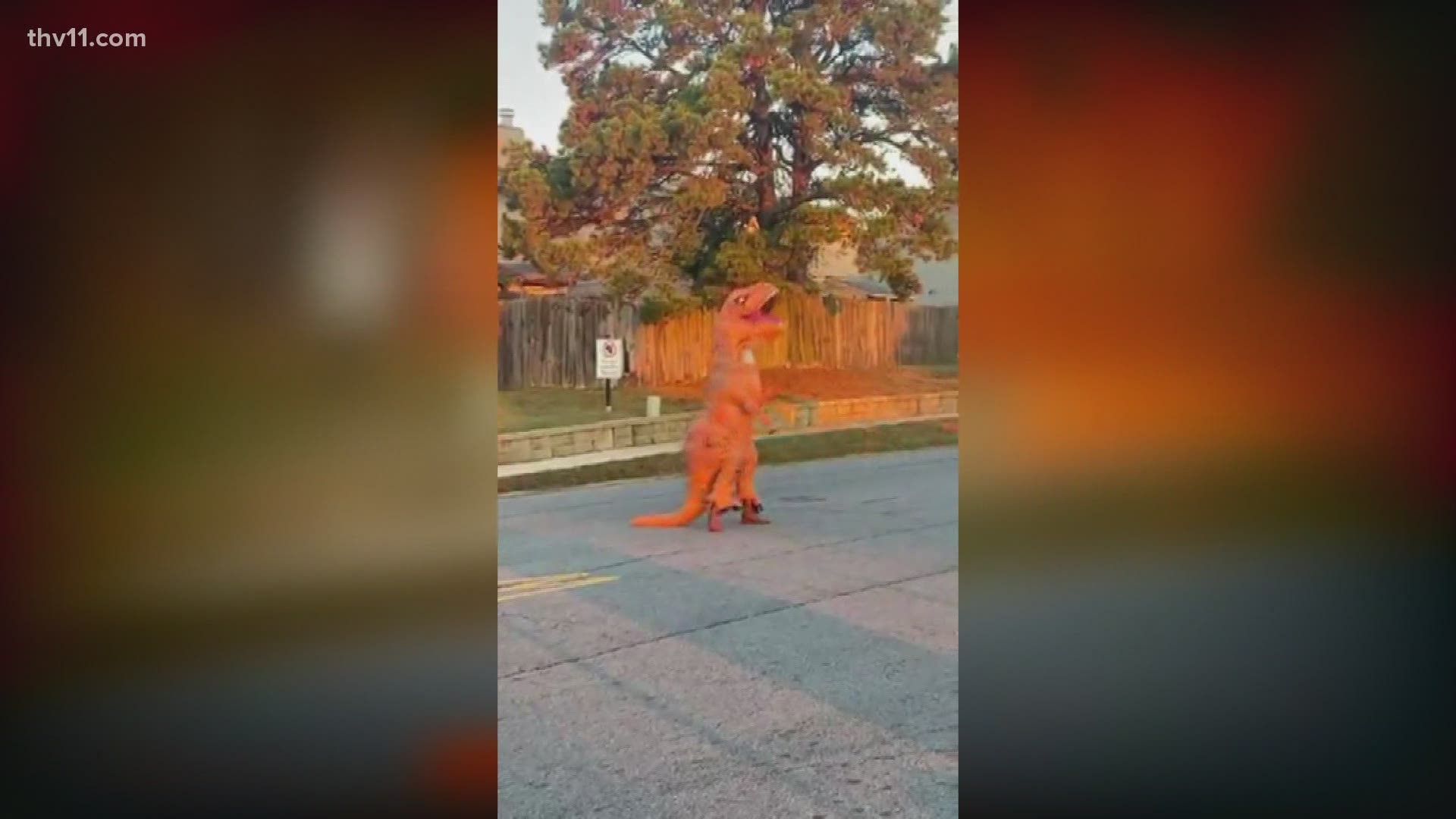 We don't want to freak anyone out this Halloween, but a dinosaur was spotted in Maumelle!