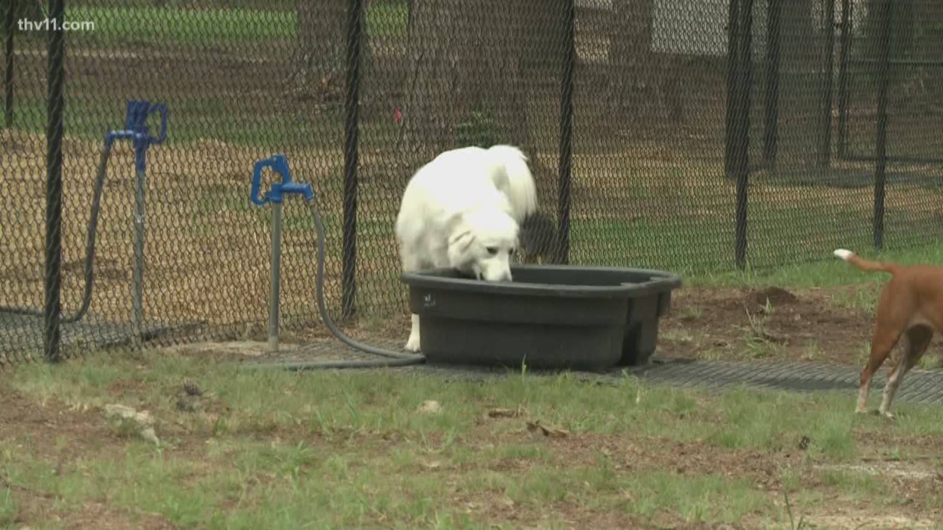 North Little Rock Parks and Recreation opened the city's newest dog park, with the apt name "Barks and Rec."