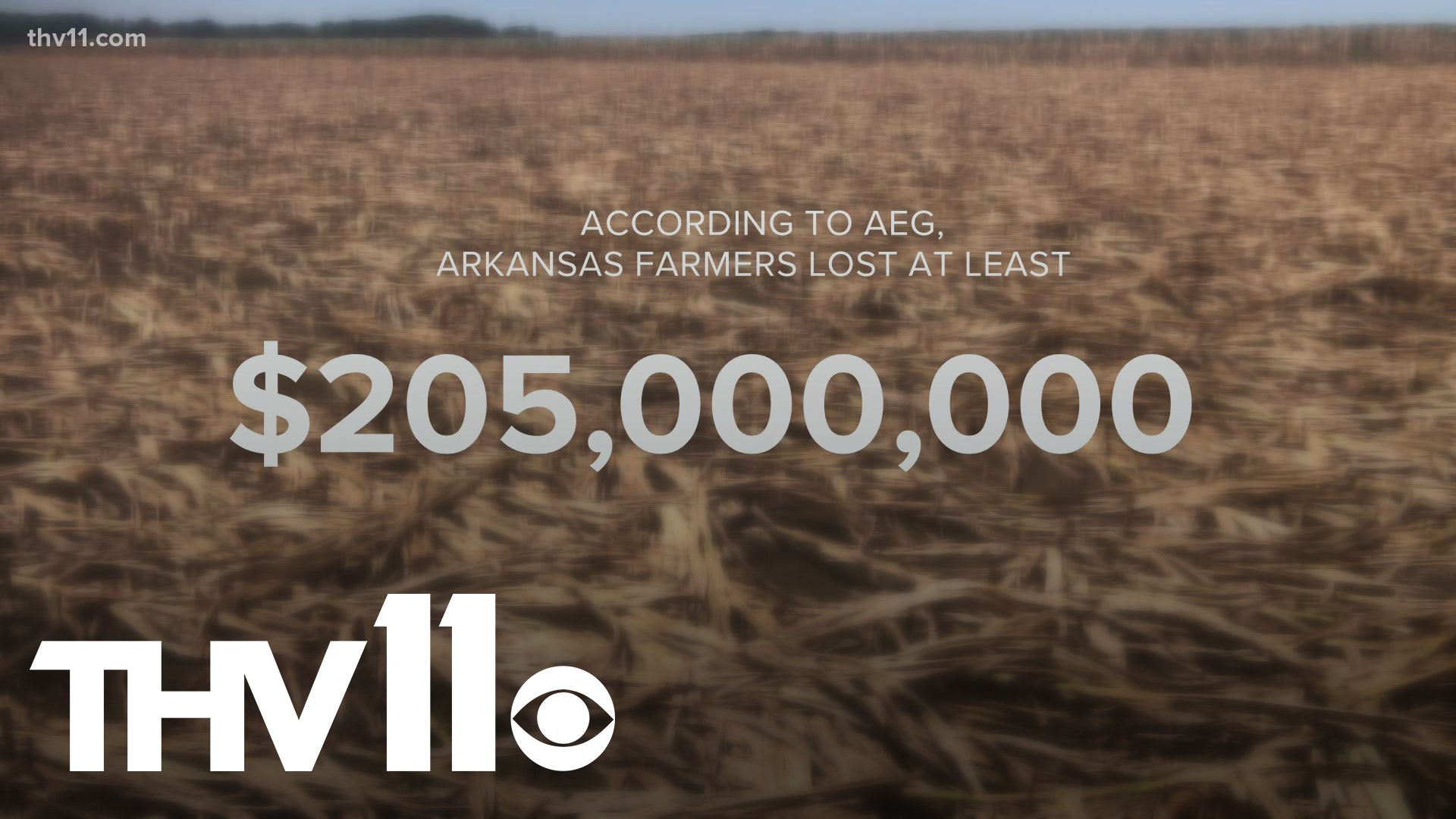Flooding from heavy rainfall in early June has caused Arkansas farmers hundreds of millions of dollars in damage.
