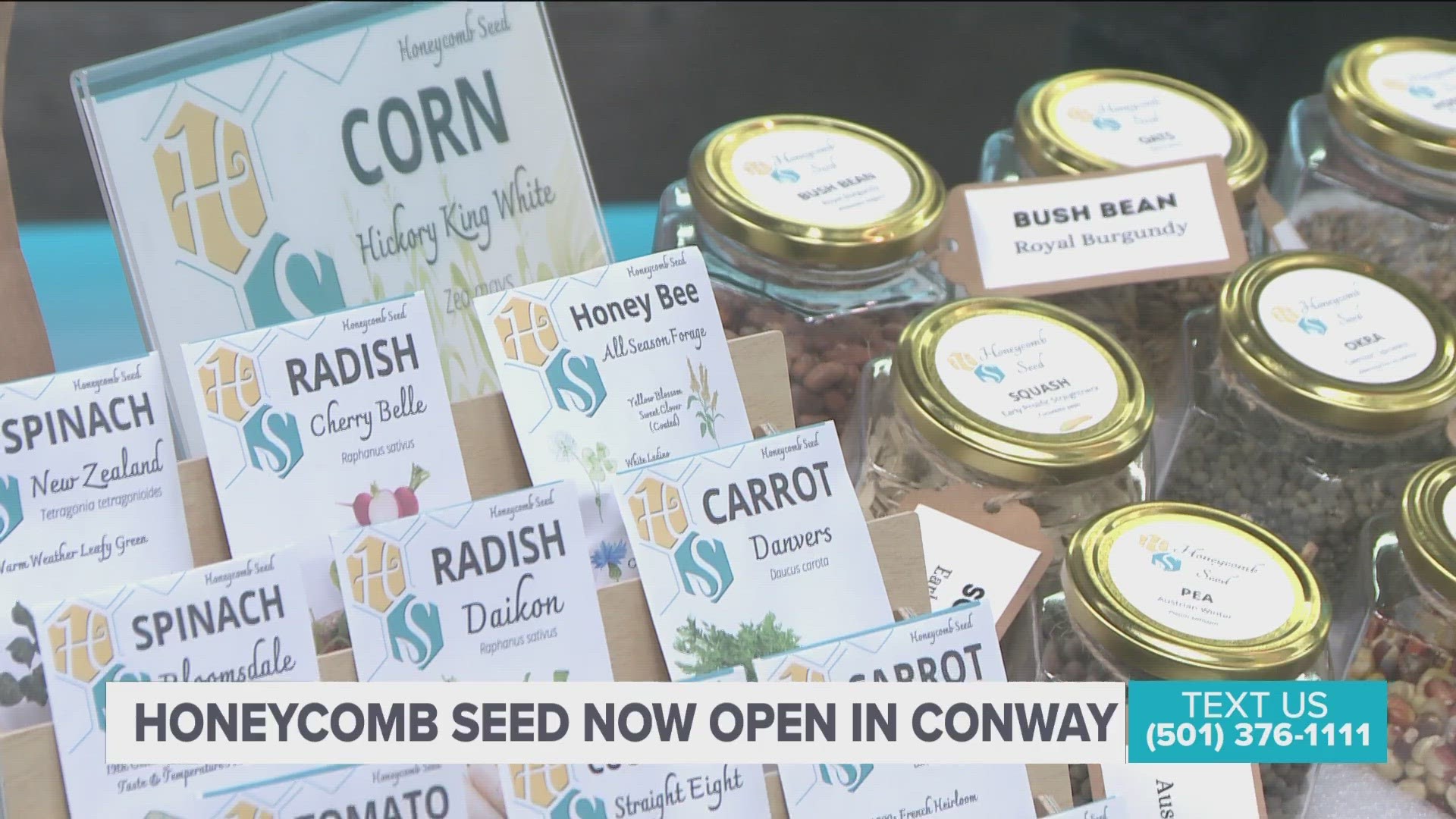 Zach McCannon, founder of Honeycomb Seed tells us more about the importance of seed banks.