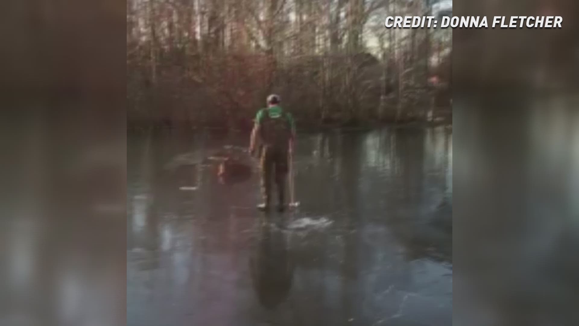 Teen saves baby deer from frozen pond