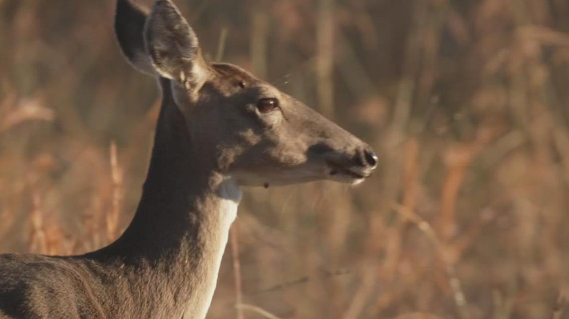 Arkansas Hunters Feeding the Hungry How to donate deer meat