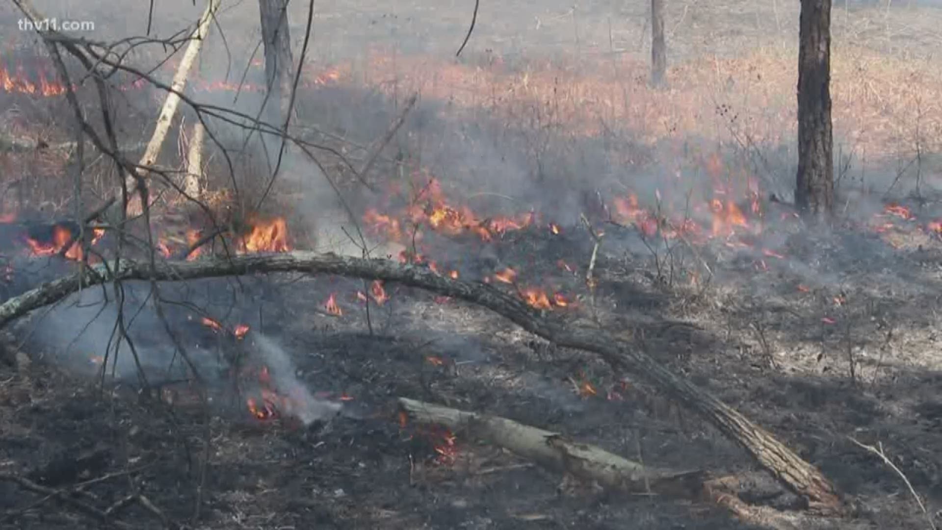 Spring is here and that means all the leaves and flowers will soon be blooming. But it also means the dry season is coming and all that vegetation will raise the fire risk.