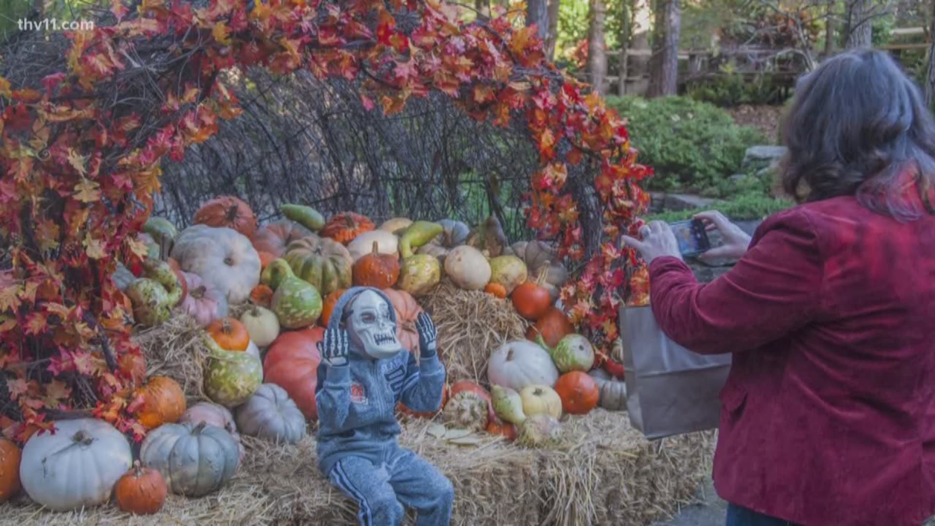 Garvan Woodland Gardens is hosting its 'Celebrate Fall Day' on Saturday, October 12th.