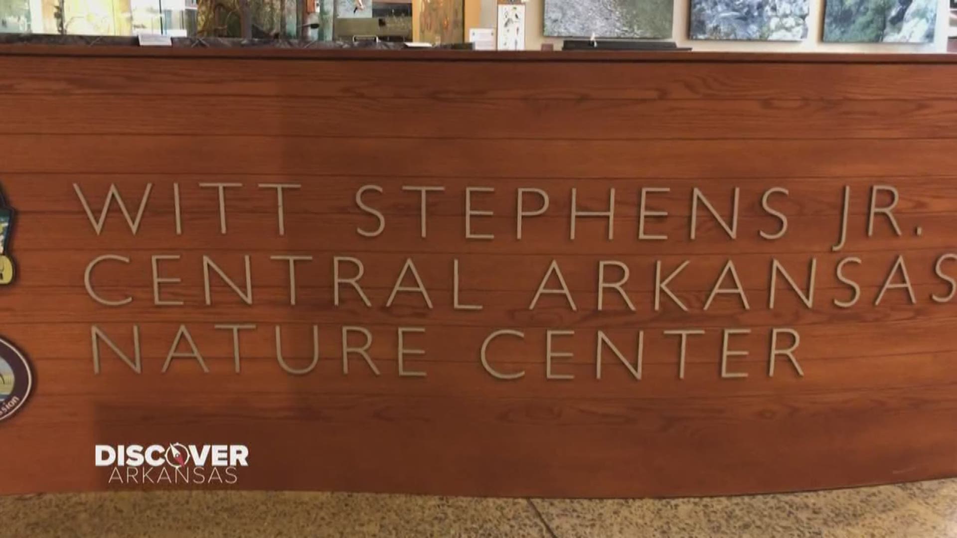 Discover Arkansas | Witt Stephens Jr. Nature Center