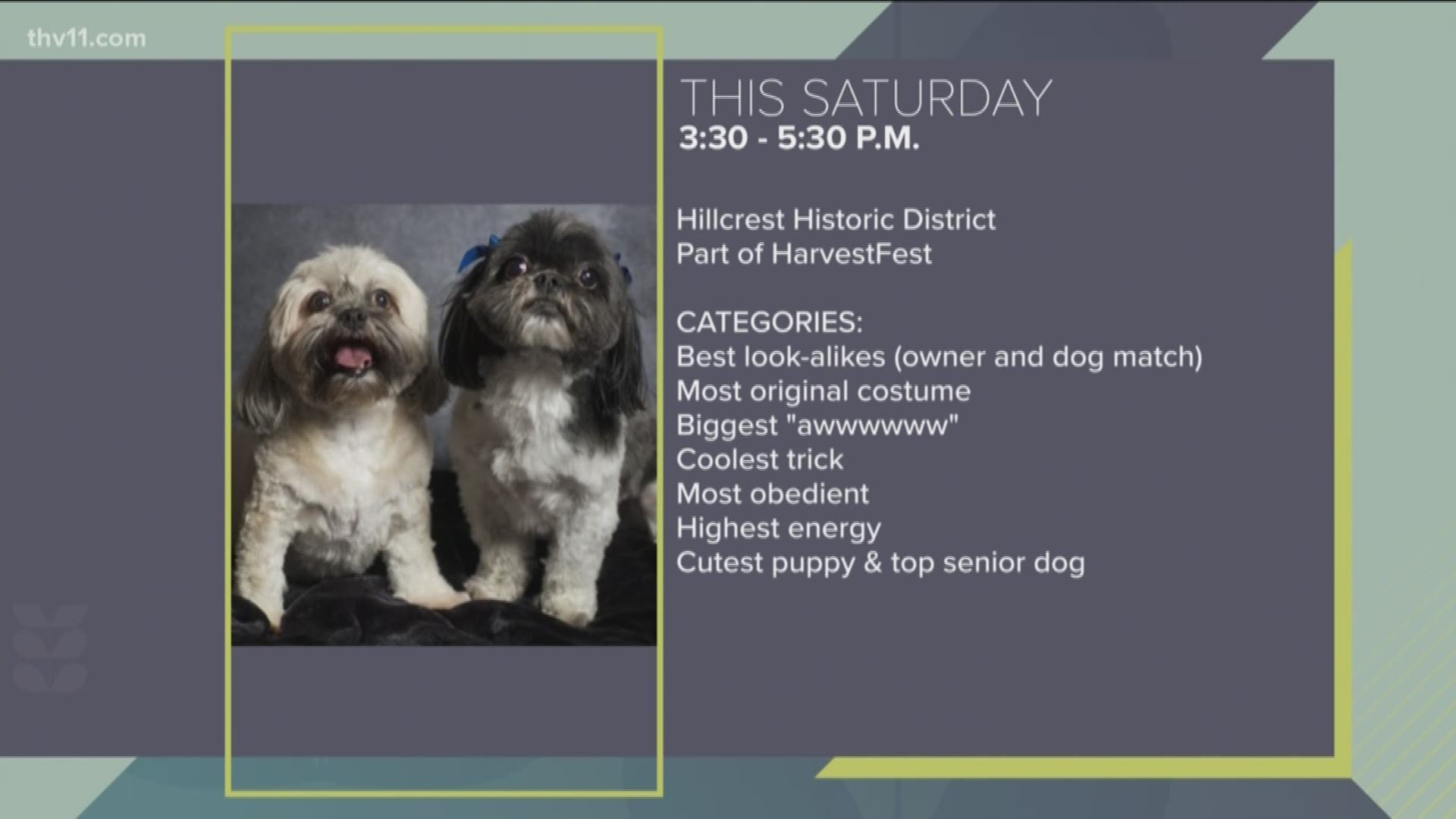 2nd Annual HarvestFest Dog Show will be Saturday, October 12th in the Hillcrest Historic District at 3:30 p.m.