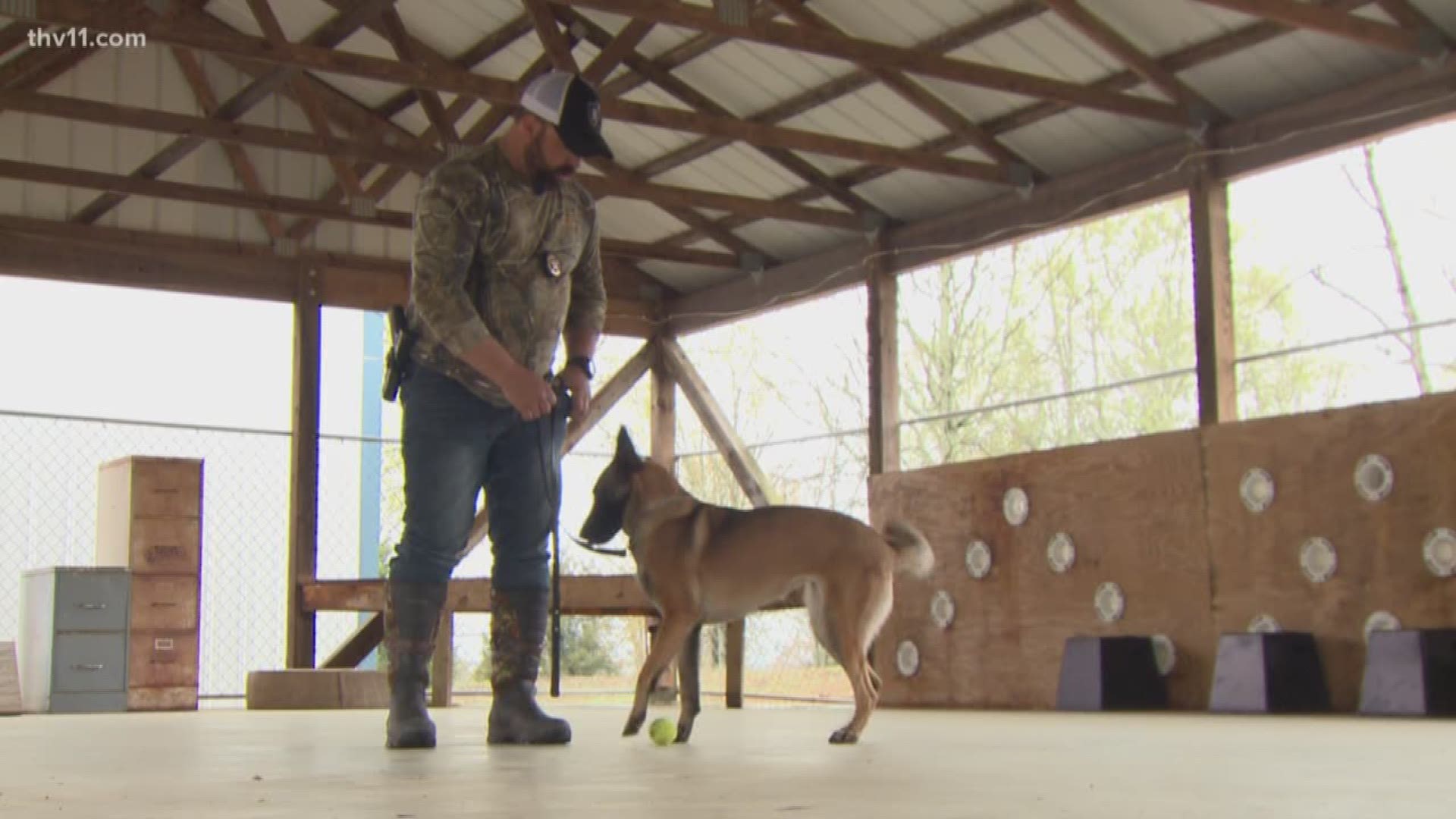 In January, Lonoke county had to put down their only drug dog because he got bone cancer. Now they have not one, not two, but three new officers.