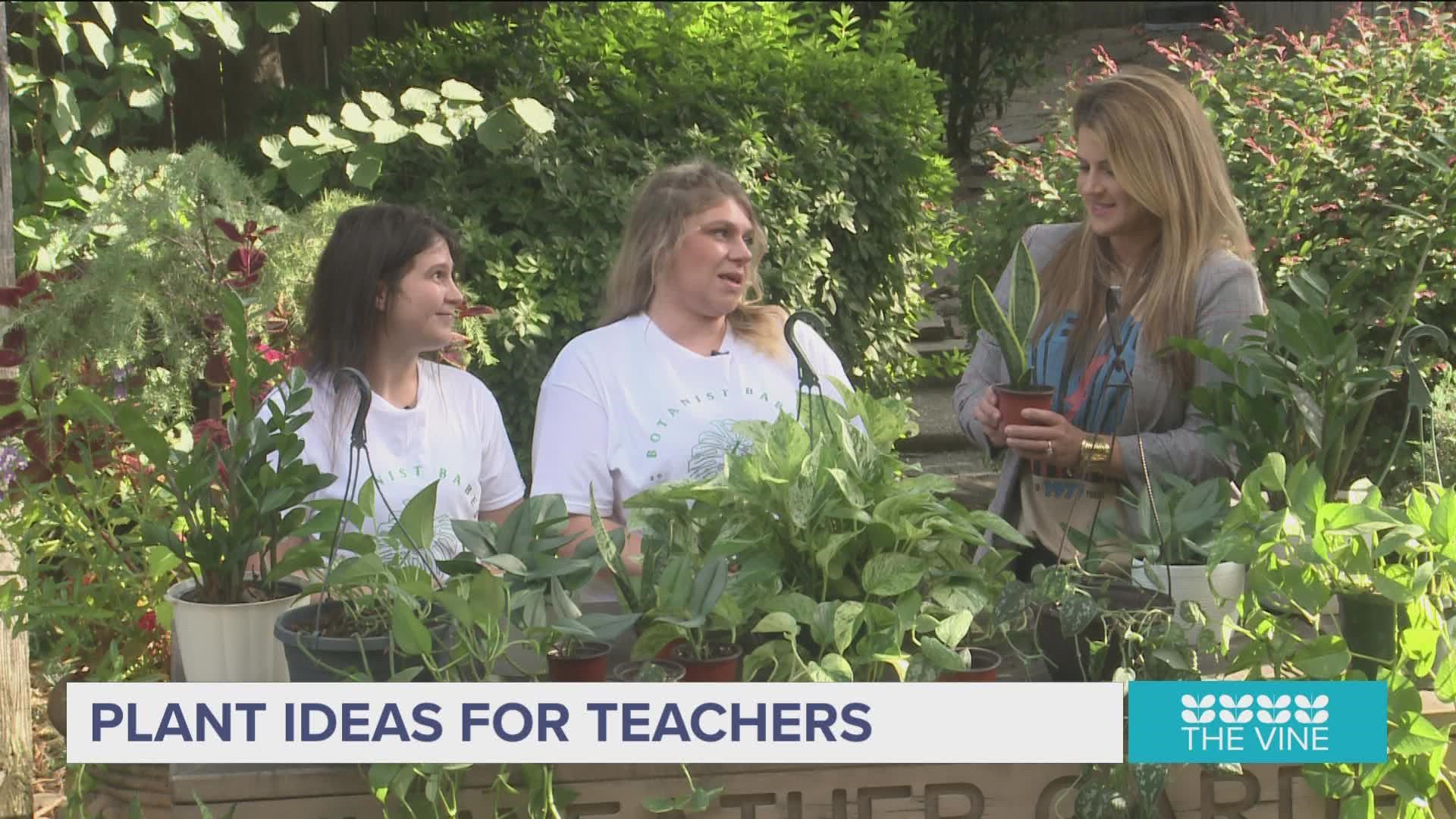As we head back to school, the Botanist Babes have some easy, green ideas for teachers and their classrooms.