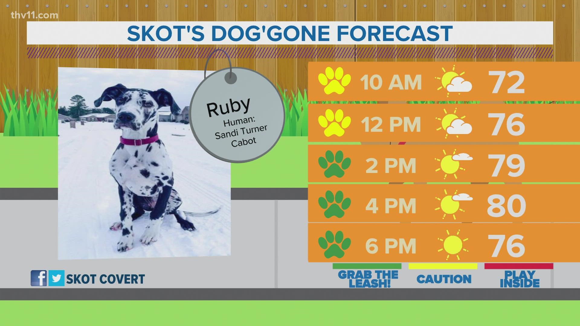 Ruby | Skot's dog'gone weather forecast