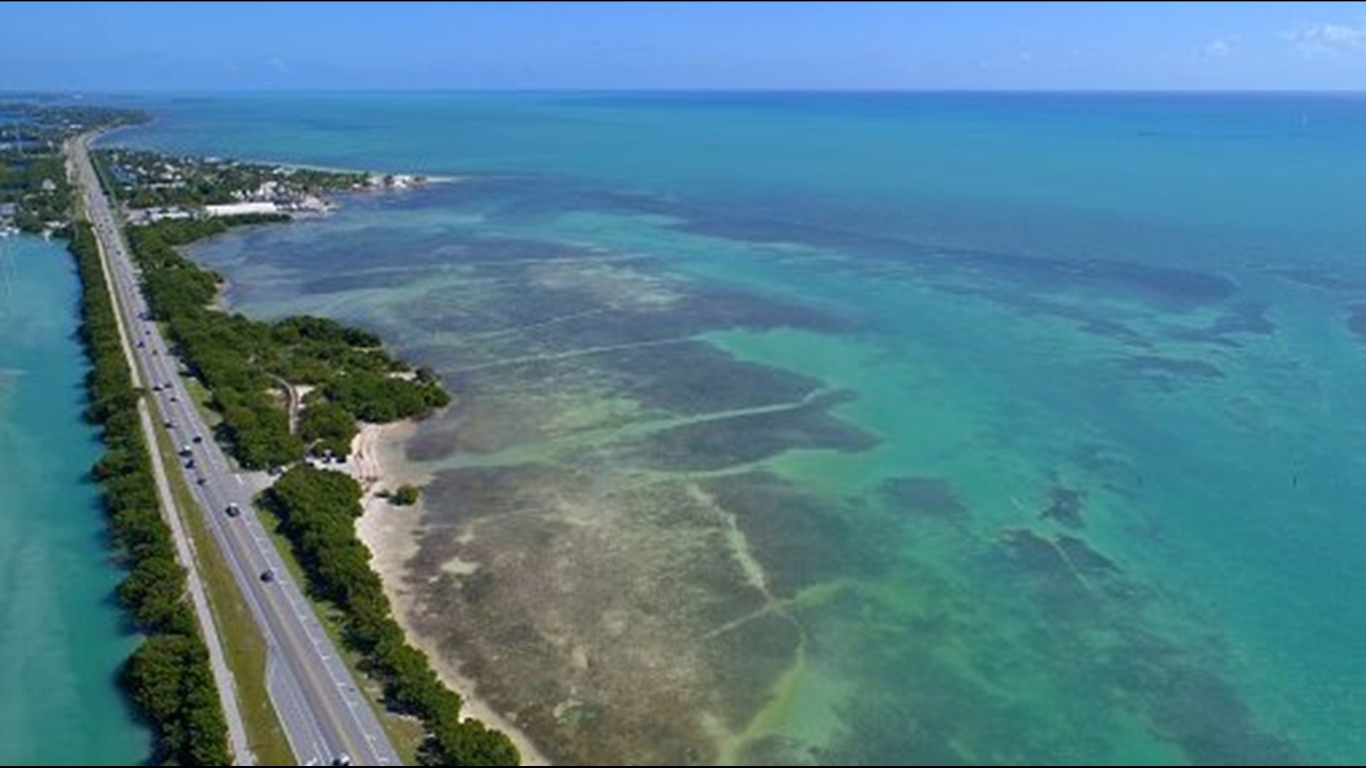 A man from Arkansas died during a scuba diving trip in the Florida Keys.