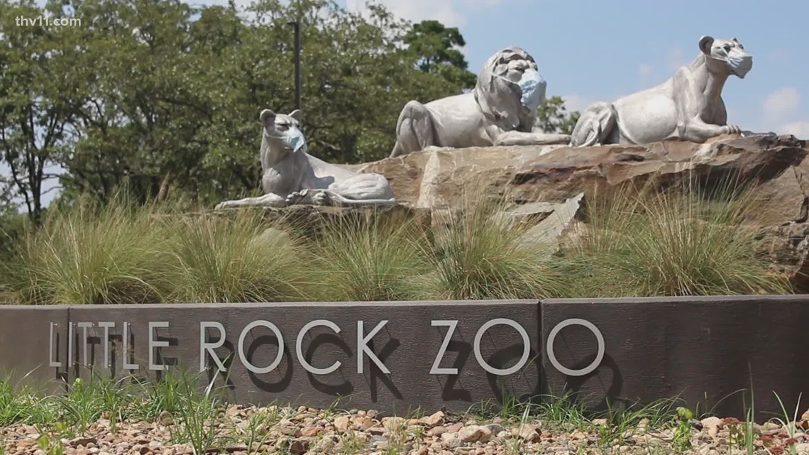 Little Rock Zoo announces Hiland Dairy Dollar Day 2023