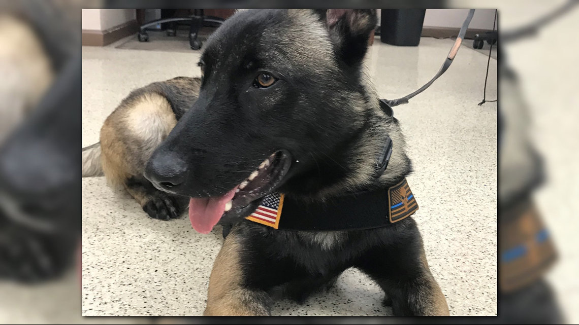 Morrilton Police Department's K9 officer receives his own Narcan kit