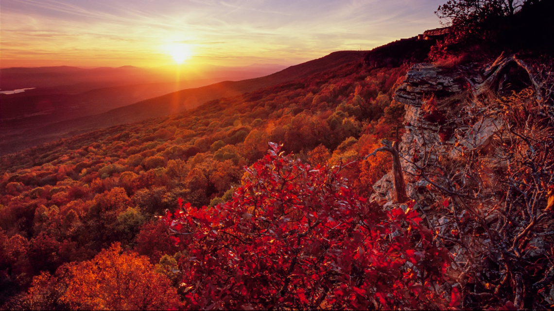 Peak Fall Foliage Arkansas 2024 - Joye Ruthie