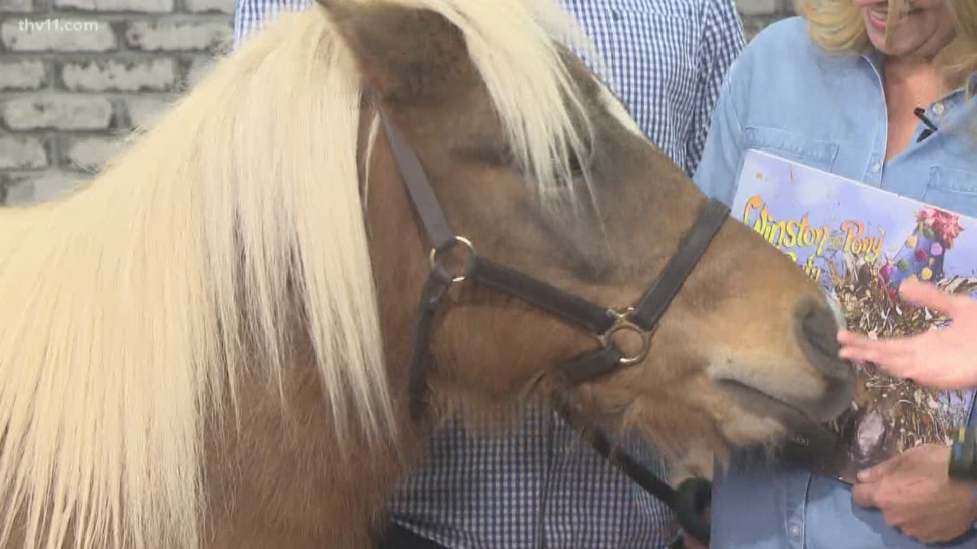 Here with us this morning, Nancy Pruitt, author of children's book Winston The Pony Goes to a Party, and the book's inspiration himself -- Winston!