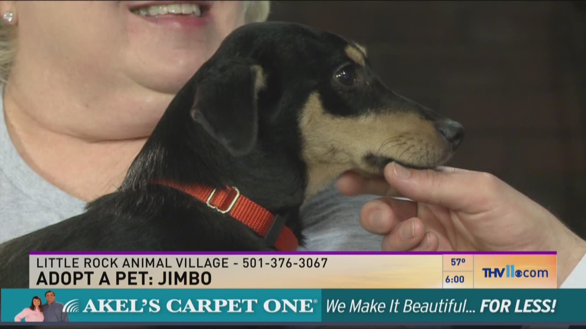 Leslie Taylor from Friends of the Animal Village visited THV This Morning with a sweet pup named Jimbo