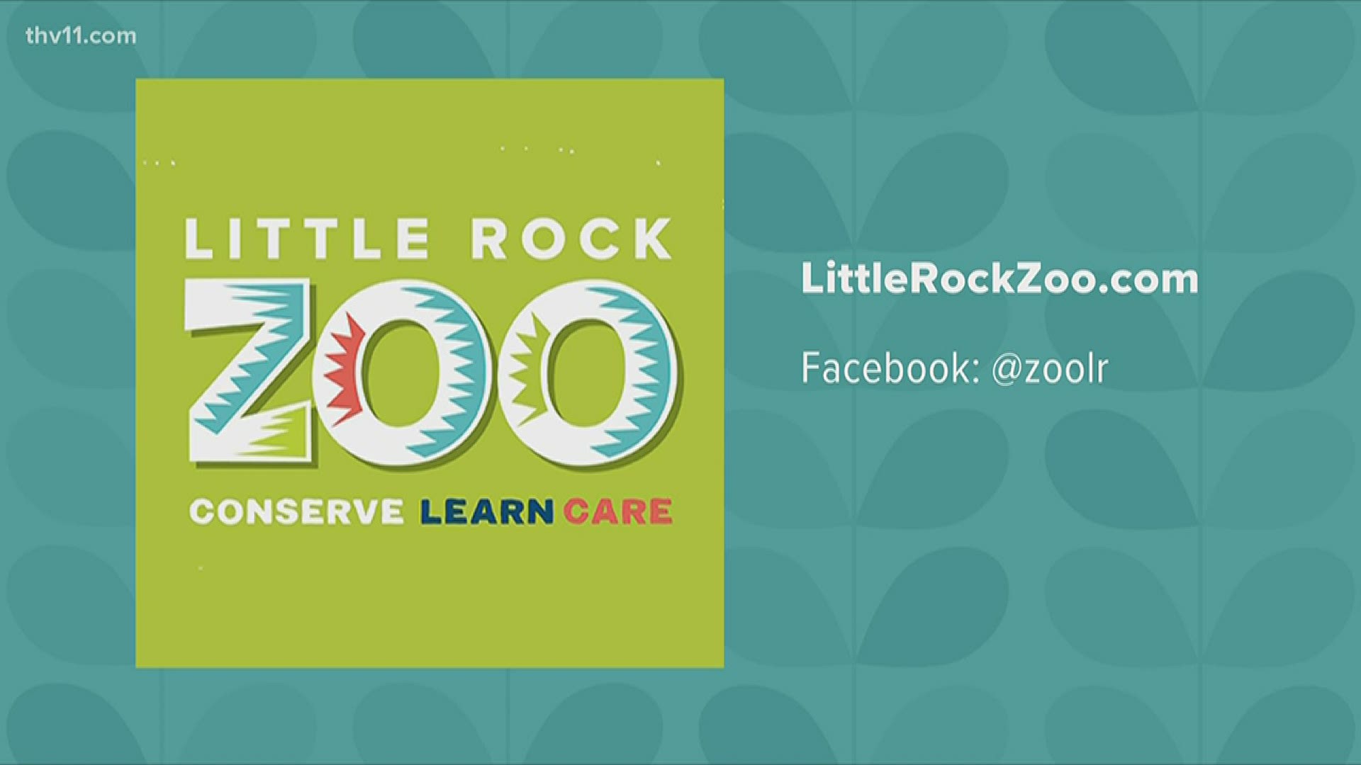Big changes at the Little Rock Zoo. How we could soon be able to visit our favorite animals again!