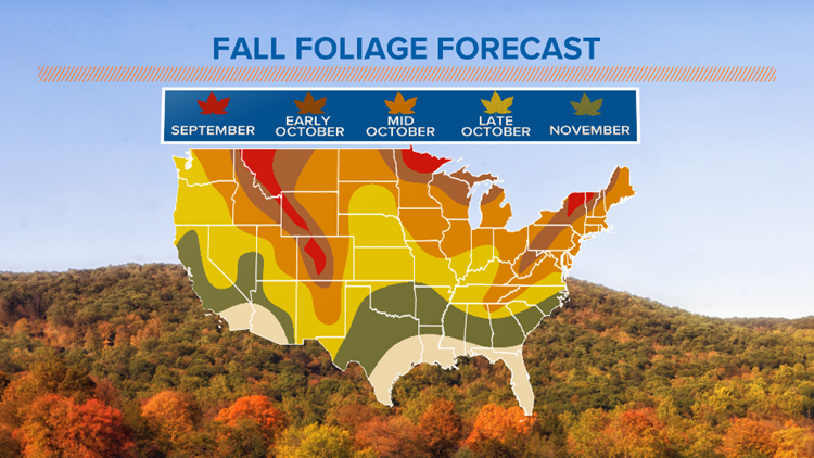 Is it too hot for the leaves to change colors this fall? | thv11.com