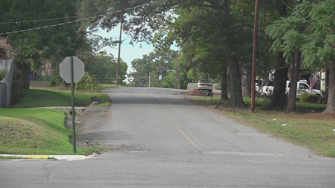 Victim's family seeks justice after dog attack in North Little Rock