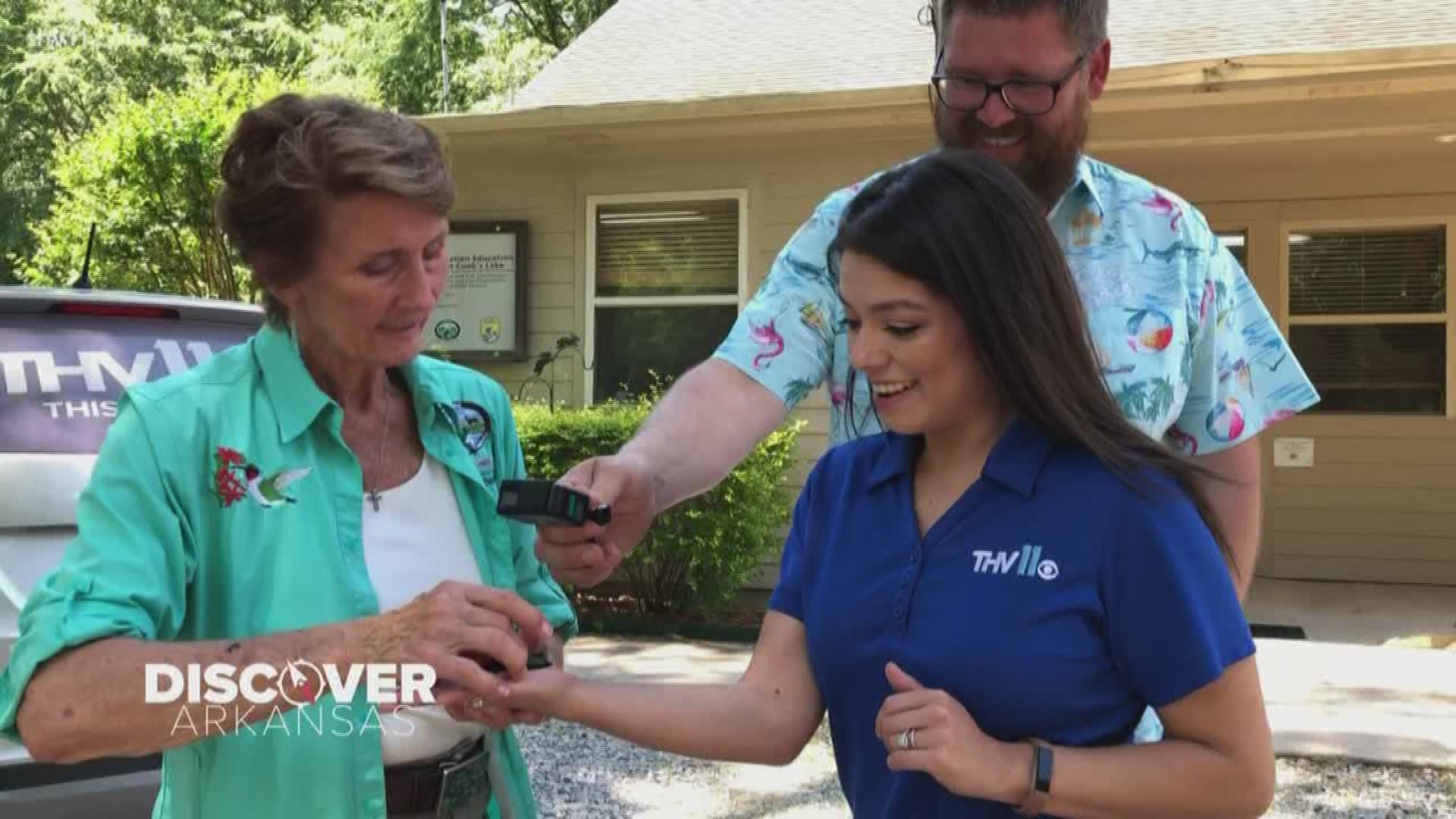 Each year, hummingbirds migrate to the gulf coast for winter. Lucky for us, the birds stop in Arkansas every spring - on their way back north. In this week's Discover Arkansas, Adam Bledsoe and Mariel Ruiz visited a hummingbird haven where you can hold one in the palm of your hand.