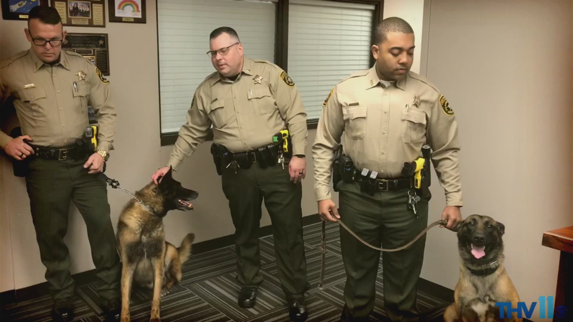 K9 officers with Pulaski County Sheriff's Office get new bulletproof vests, thanks to the Eagles Club!