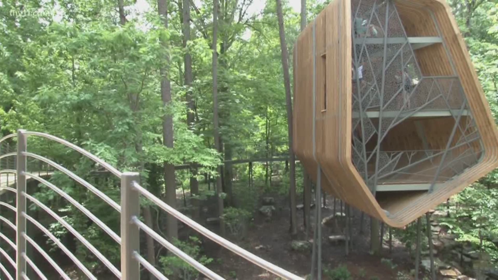 Garvan Gardens debuts new tree house