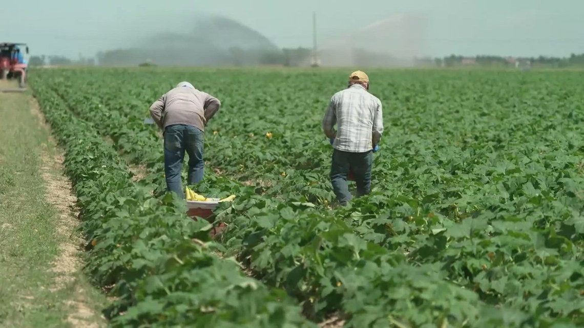 Arkansas Farm Bureau asking Congress for additional funding before next crop year