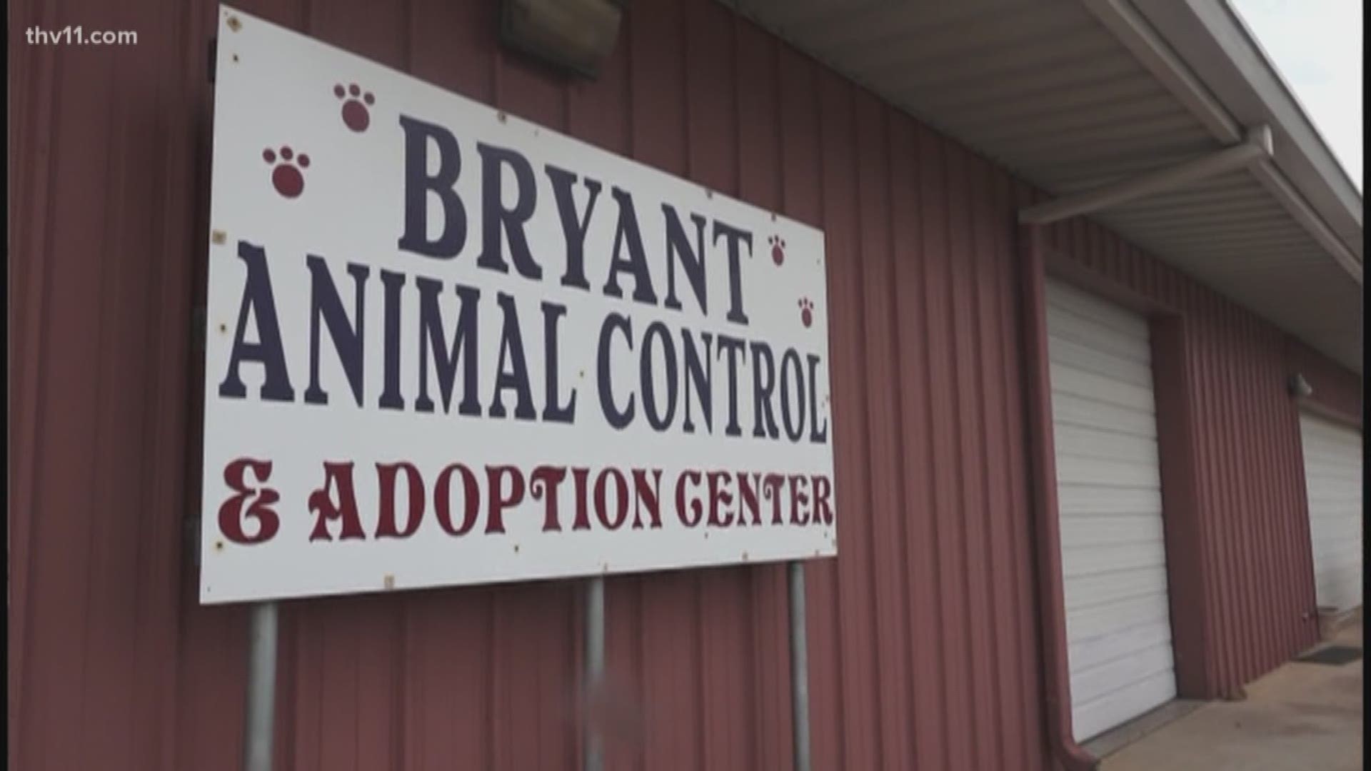 The illness has caused the Bryant Animal Shelter to close dog adoptions and intake, while doctors try to figure out what's going on.