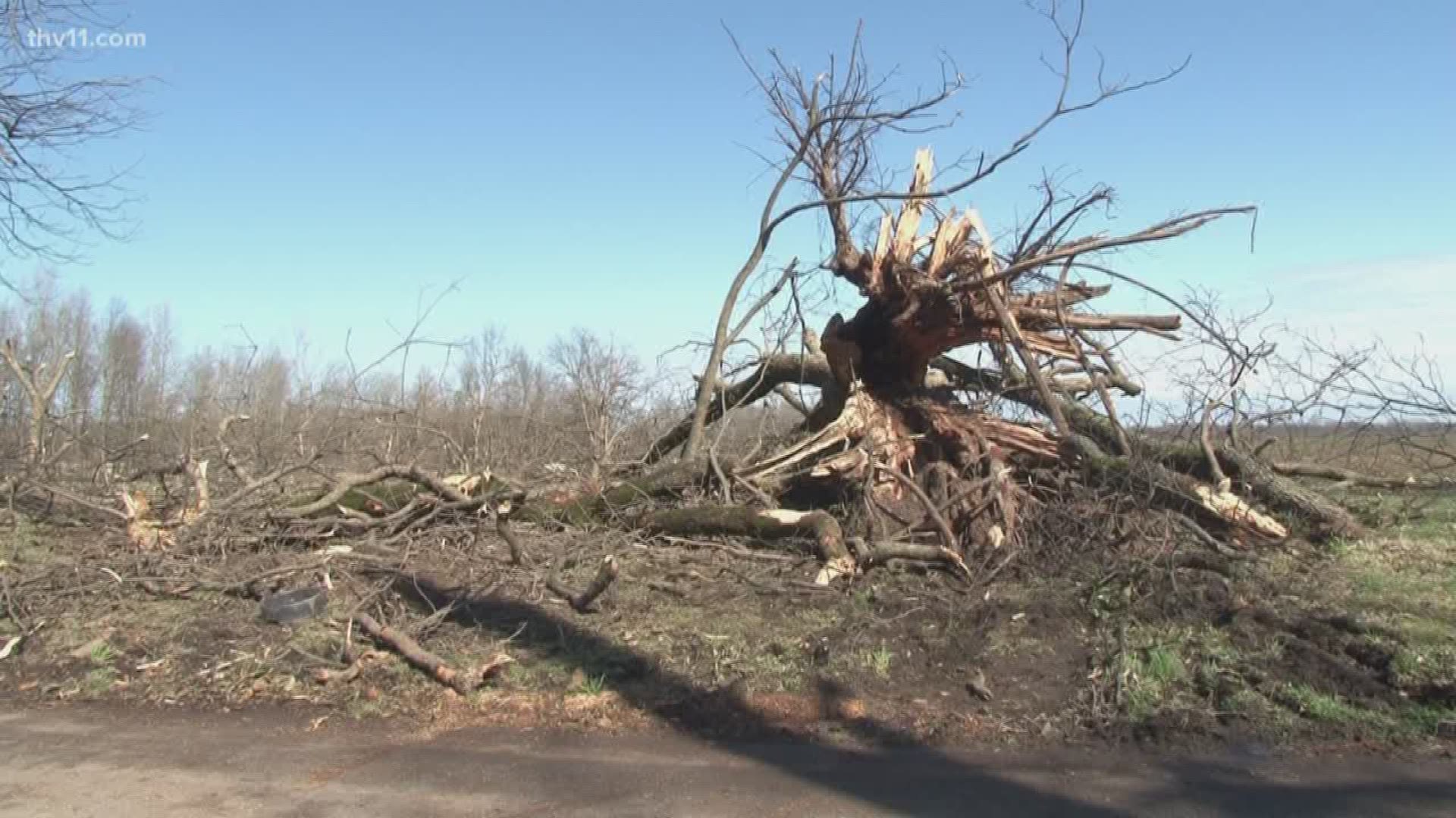 Arkansans are cleaning up from tornadoes that blew through parts of the state this morning.
