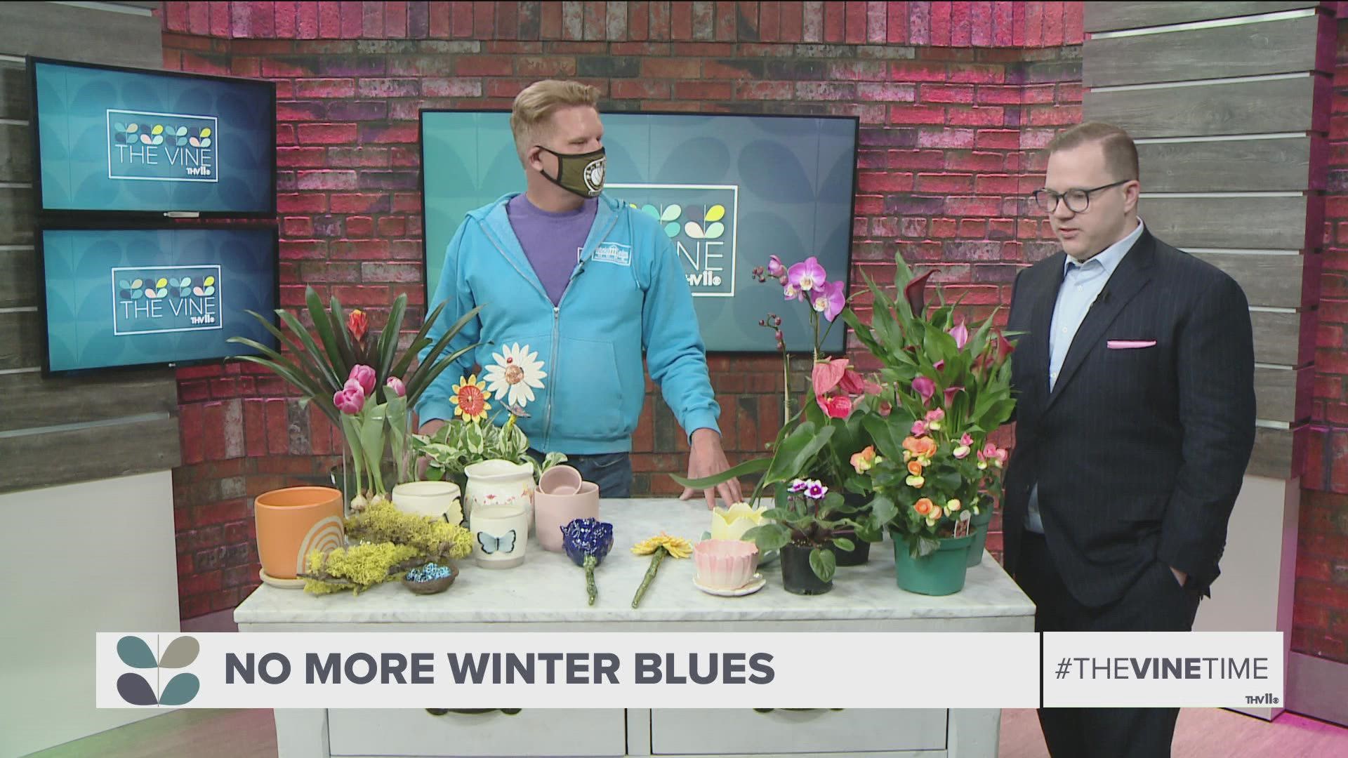 Chris H. Olsen is helping us get rid of the Winter blues with plants that give our home a boost of color.