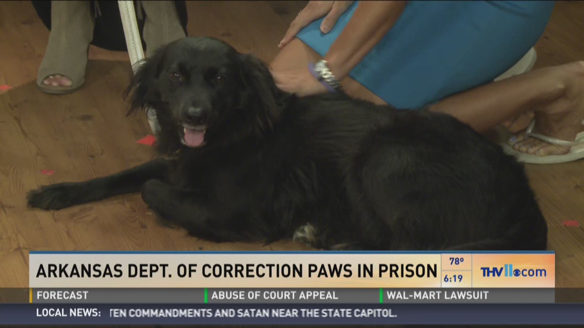 Paws in Prison holding Patio PAWty this Friday