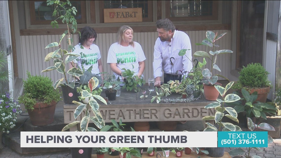 The Botanist Babes are here to help with your green thumb
