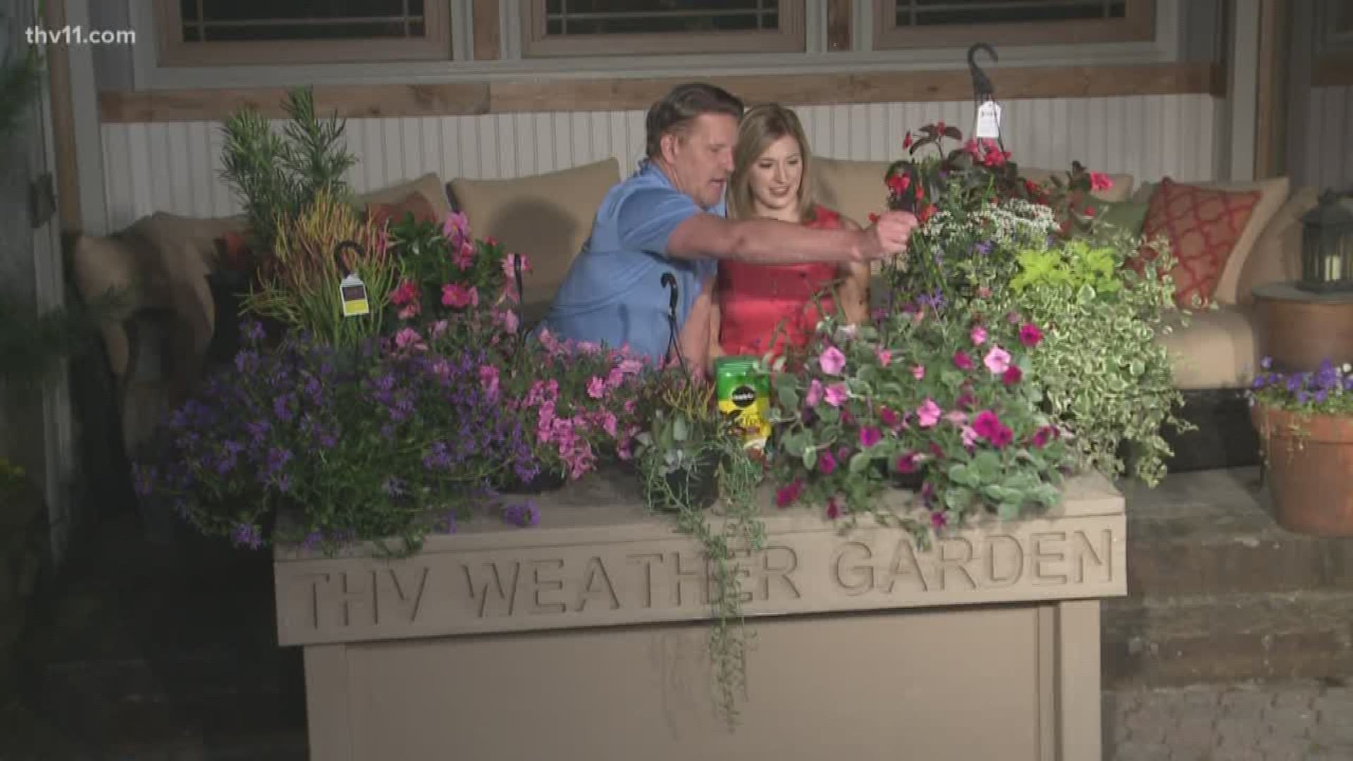 Chris H. Olsen shows some outlandish plants to decorate your garden with.