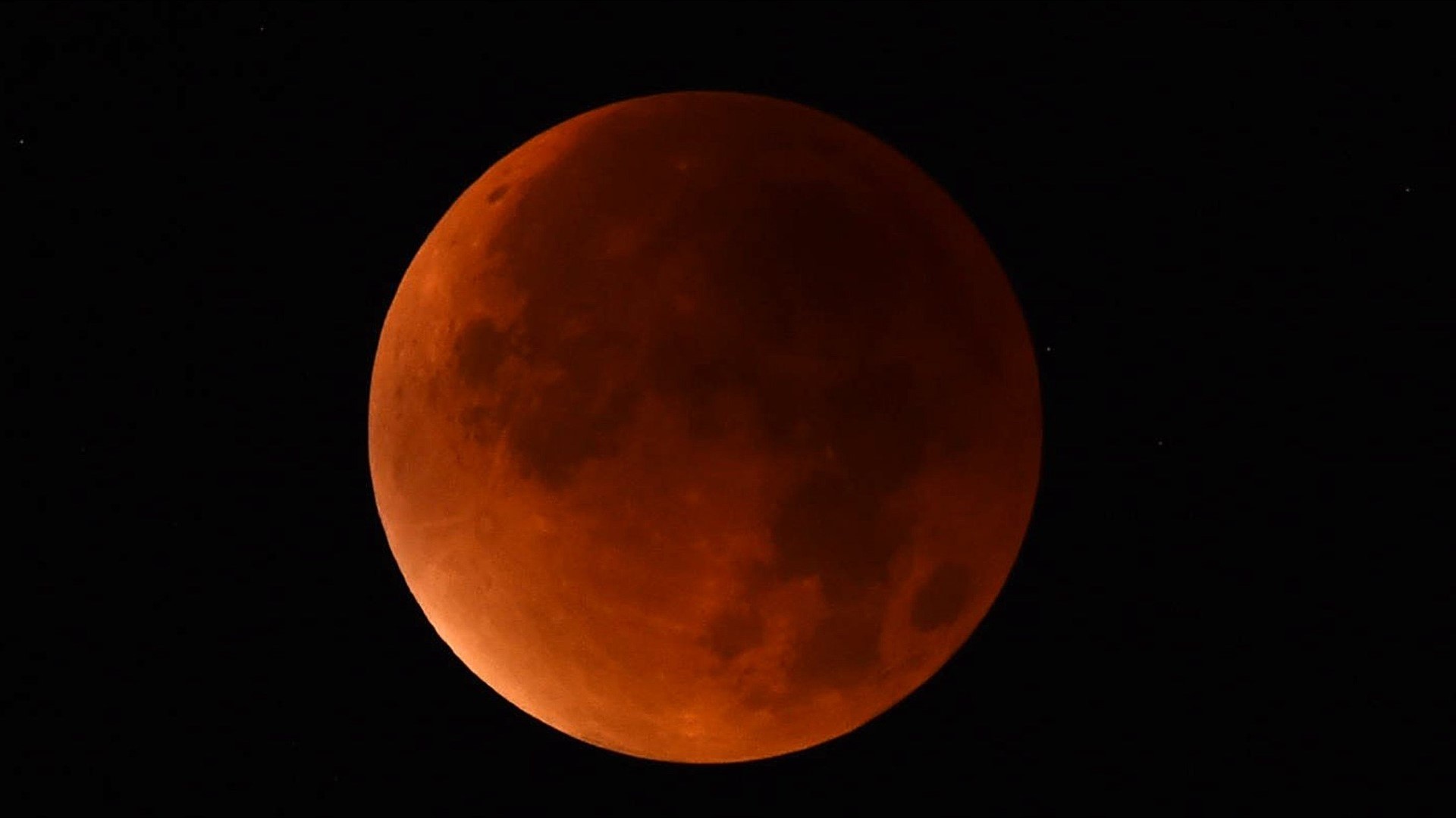 The super, blood, wolf moon is coming this weekend!