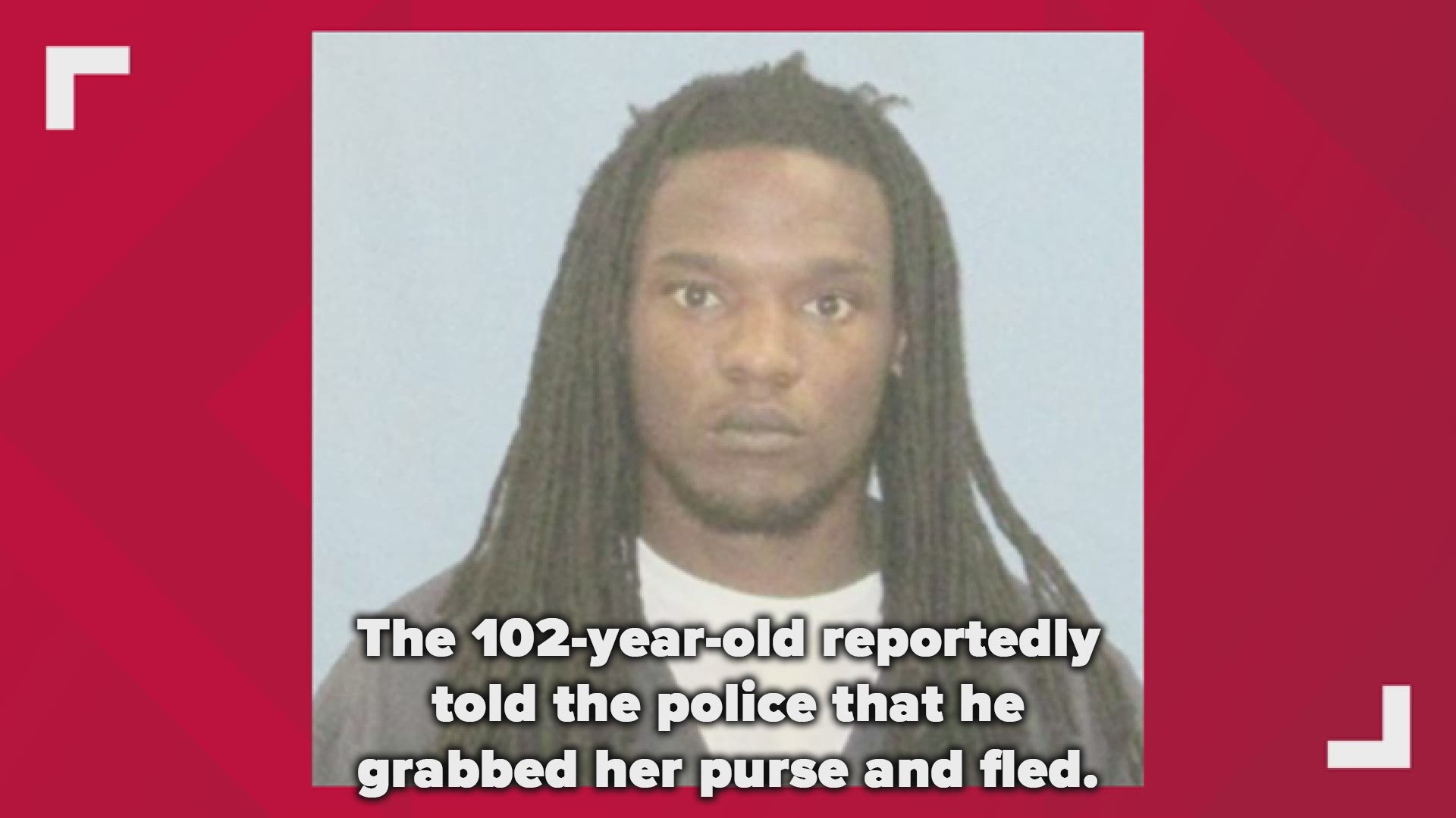 The 102-year-old reportedly told the police he grabbed her purse and fled.