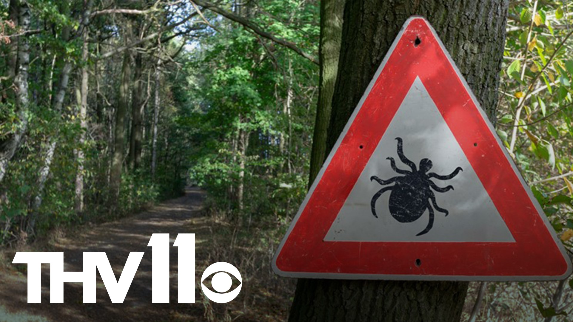 Some people in Arkansas are noticing more ticks on themselves and their pets.