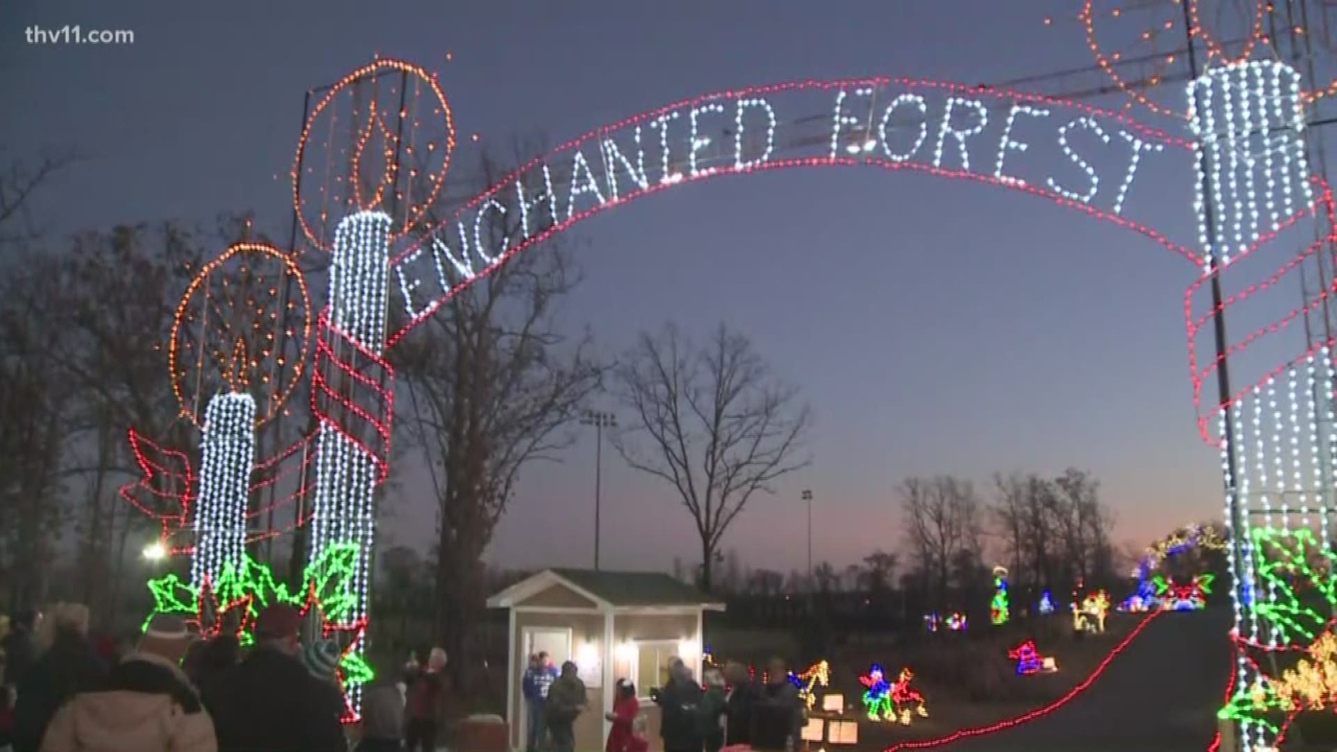LIVE Sherwood opens Enchanted Forest Trail of Lights