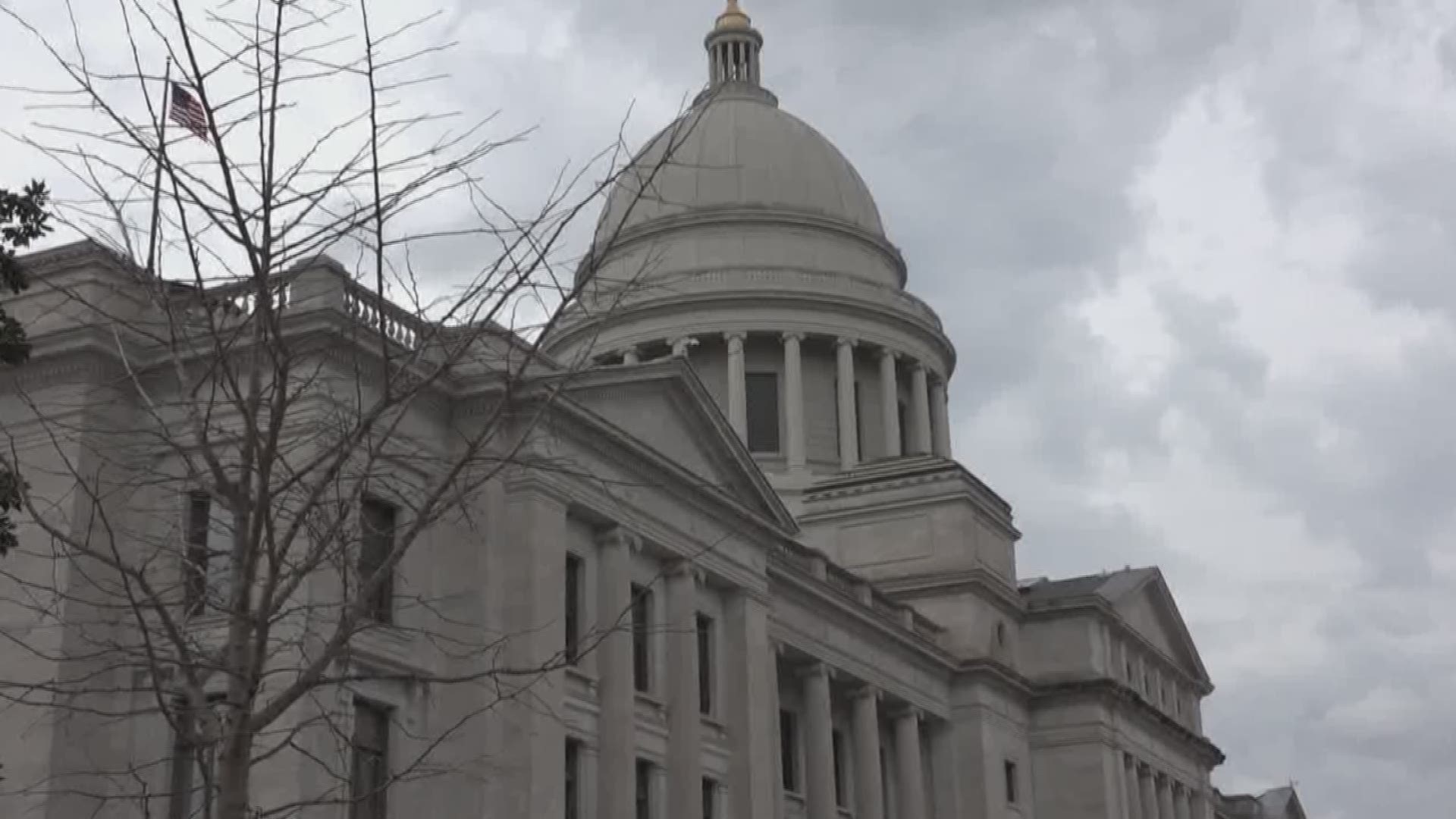 Governor Asa Hutchinson revealed his proposal for Arkansas' 2019 budget.