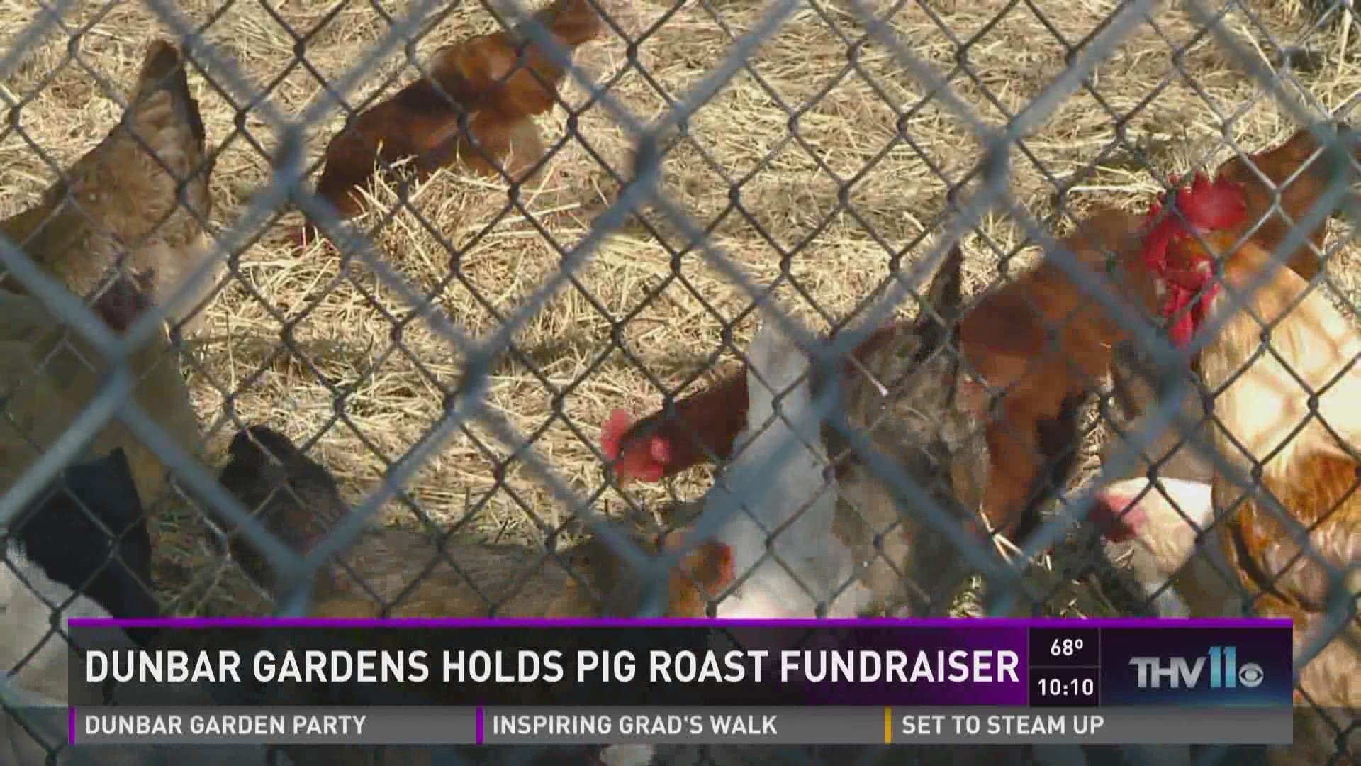 And after all the festival fun, Dunbar Gardens offered a little more relaxed way to get a bite tonight and enjoy the great weather. --THV11.com 05/21/16