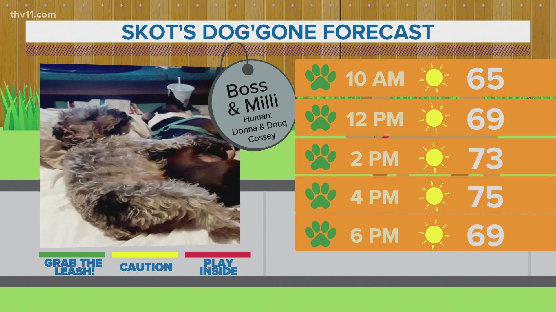 Boss & Milli | Skot's dog'gone weather forecast