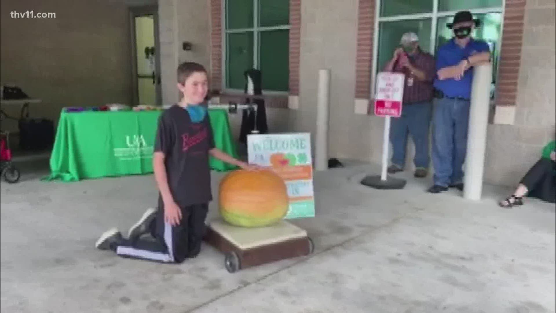 11-year-old Mark "Buster" Passmore won the Arkansas pumpkin and watermelon contest with a 334-lb pumpkin and a 111.5-pound watermelon!