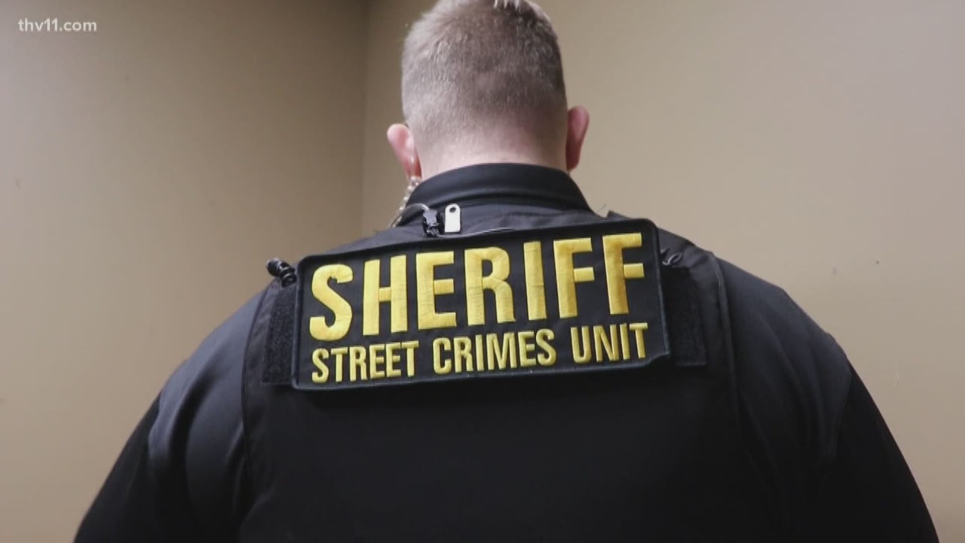 From taking drugs off the streets to recovering stolen cars, the Lonoke County Sheriff's Office street crimes unit is stepping up to the next level.