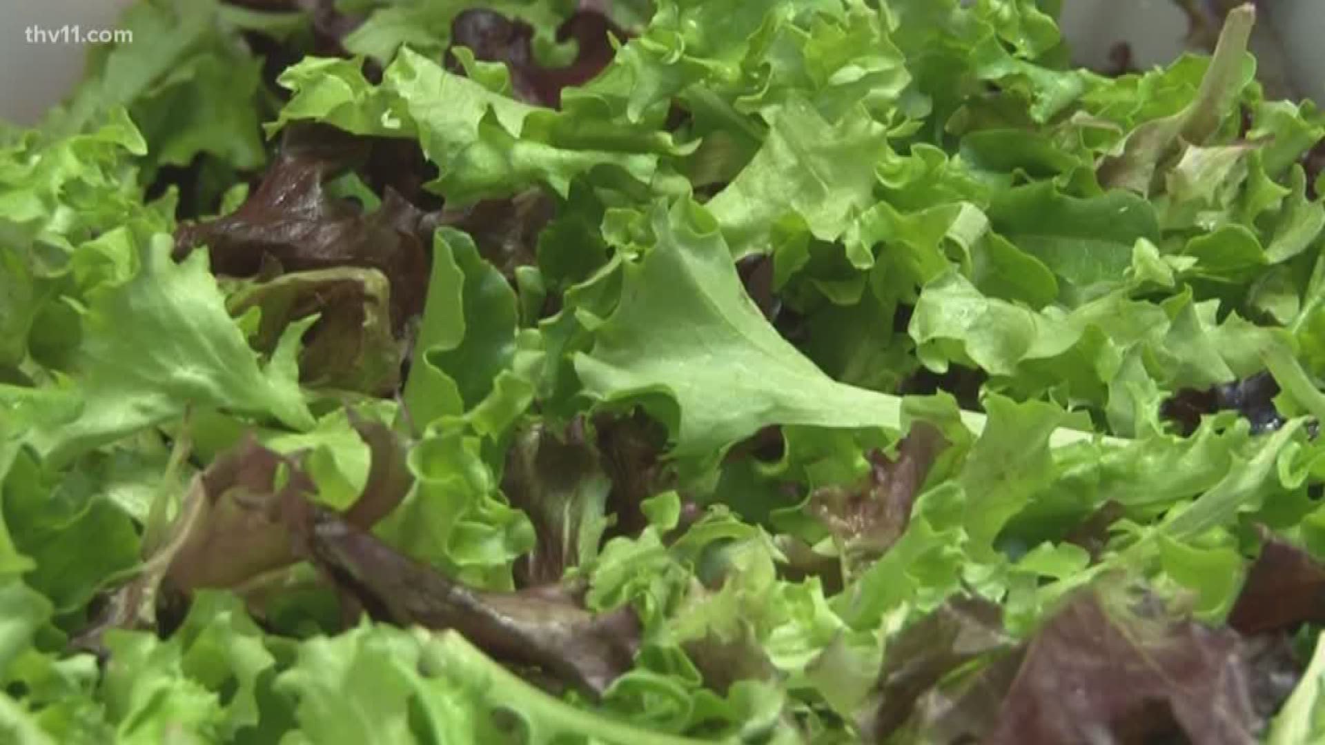 A nationwide recall on romaine lettuce due to concerns over E. Coli is causing lots of people to toss the green in the trash.