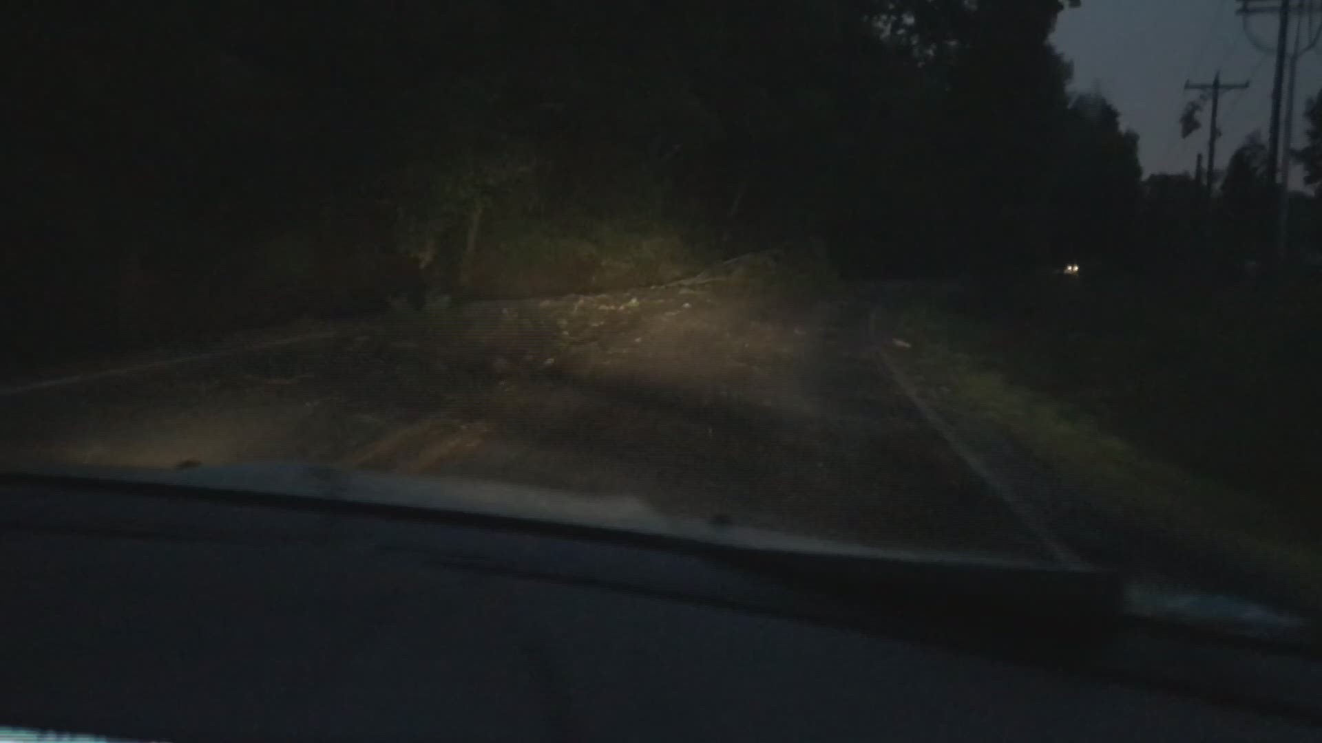 Trees were scattered across roadways throughout Arkansas this morning, July 21 after hurricane winds ripped through the state on July 20.