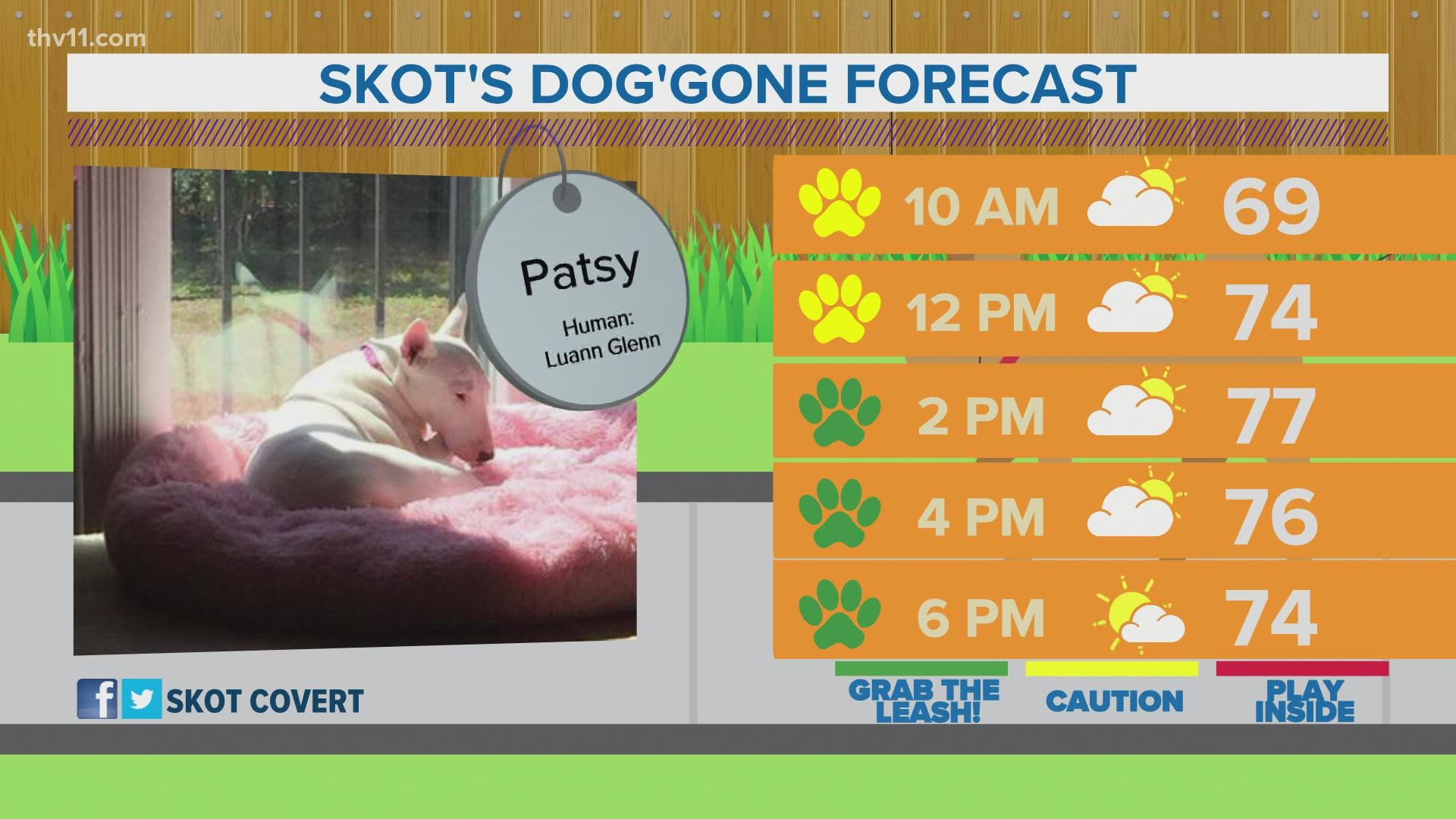 Patsy | Skot's Dog'gone Forecast