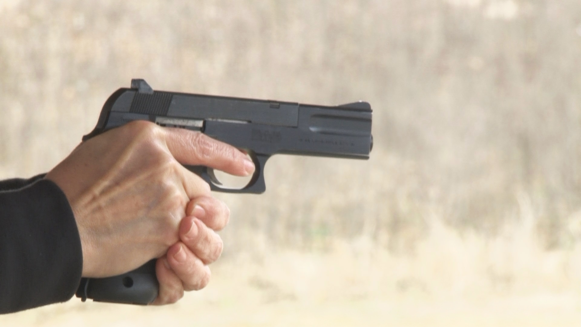 Do you need a gun? | Things to consider before buying a firearm for ...